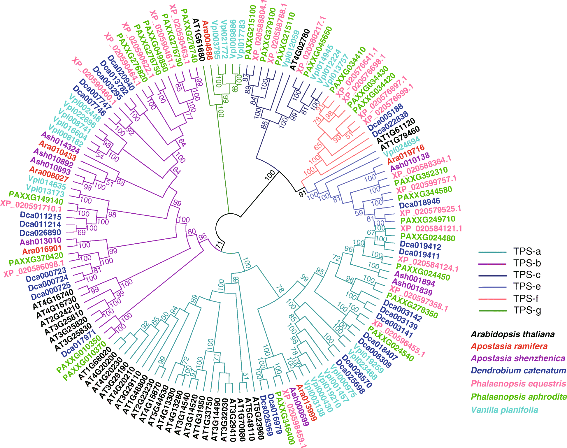 Fig. 4