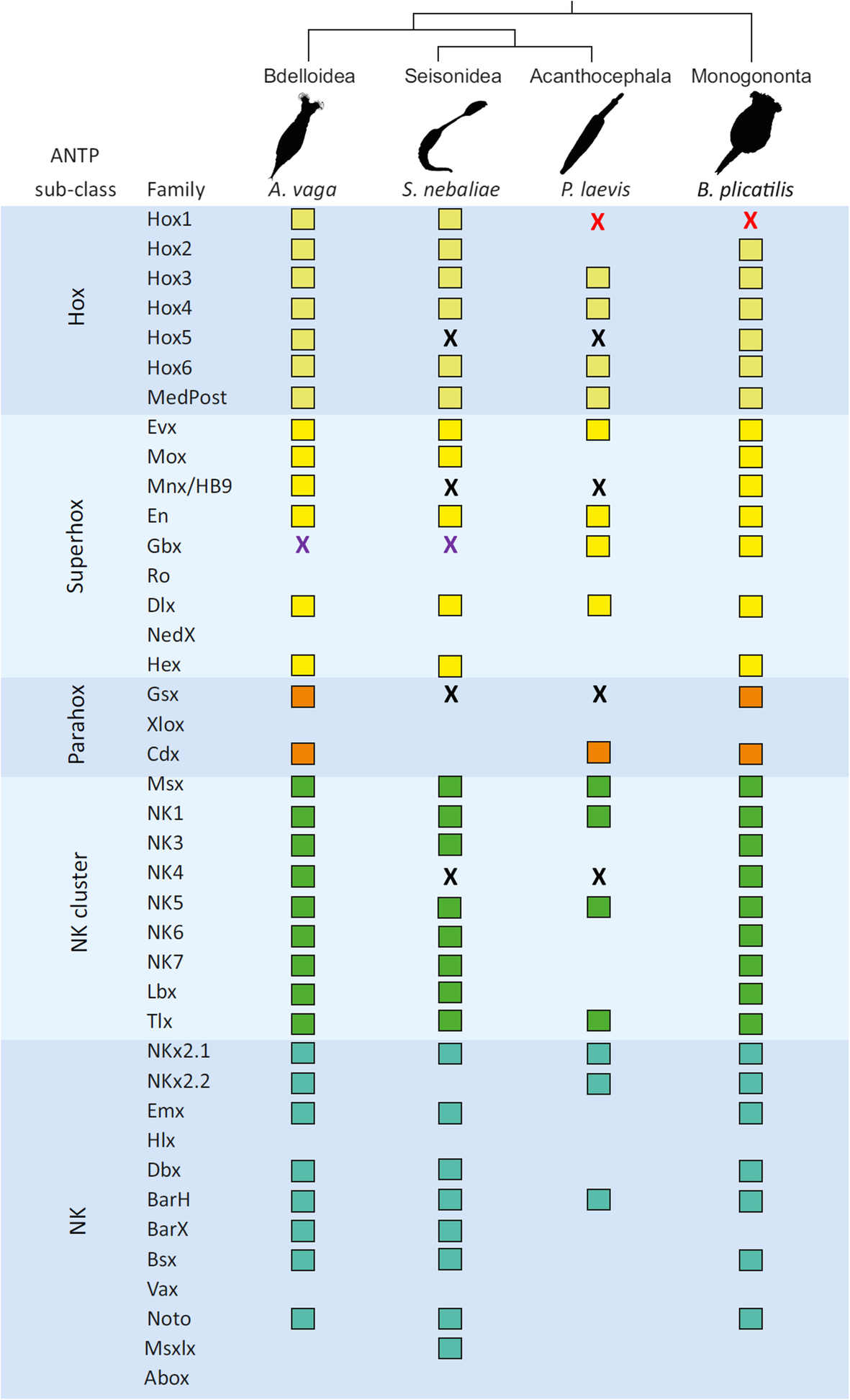 Fig. 11