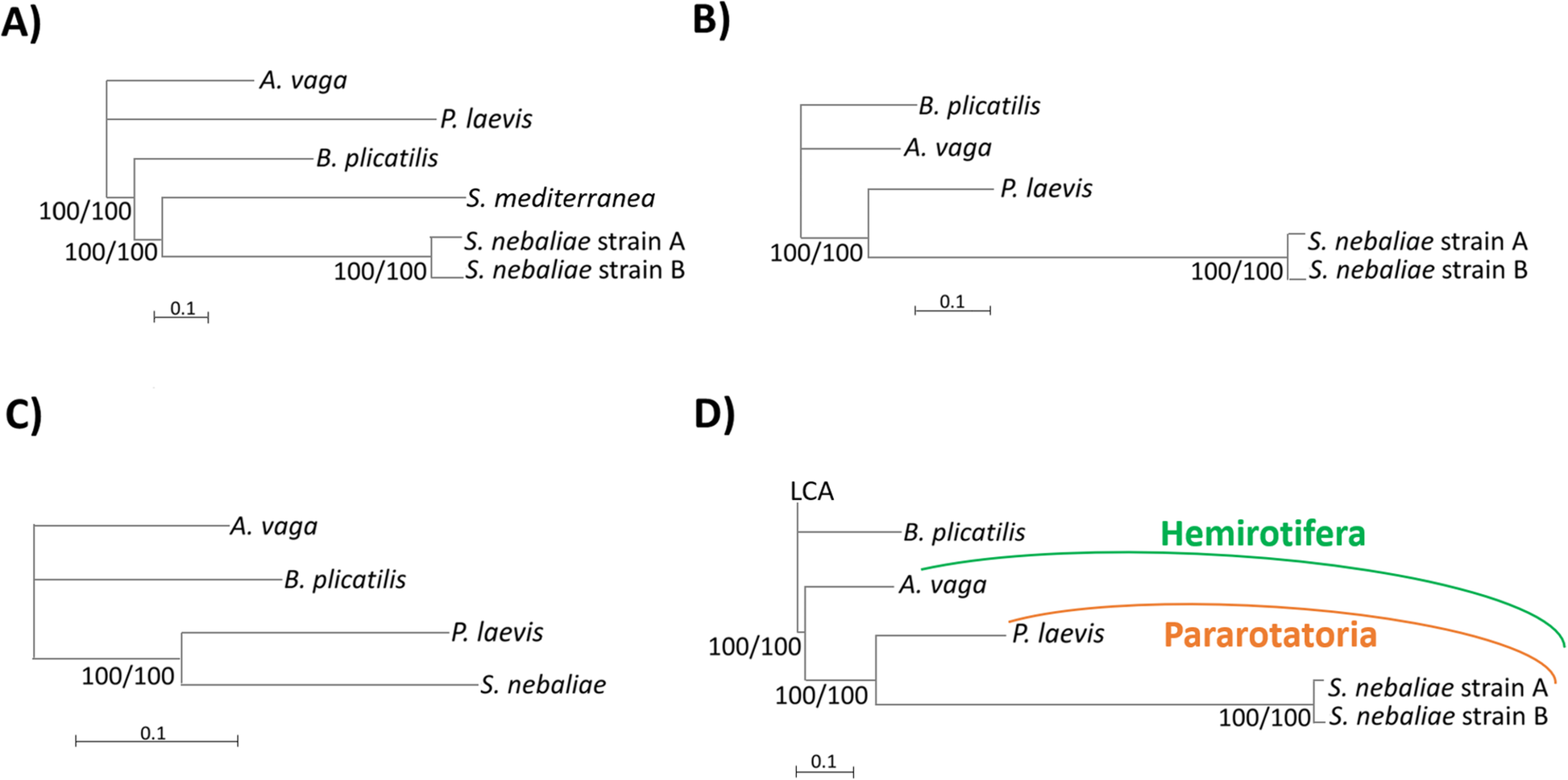 Fig. 12