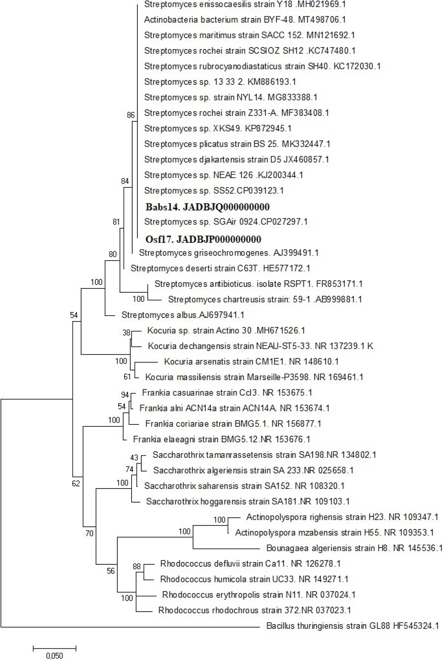 Fig. 2