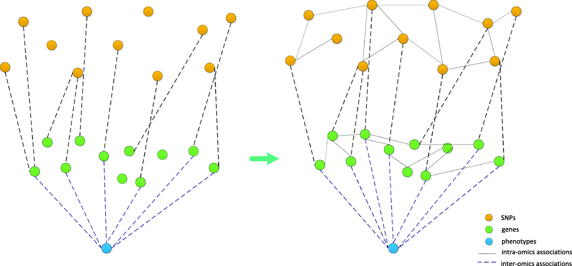 Fig. 6