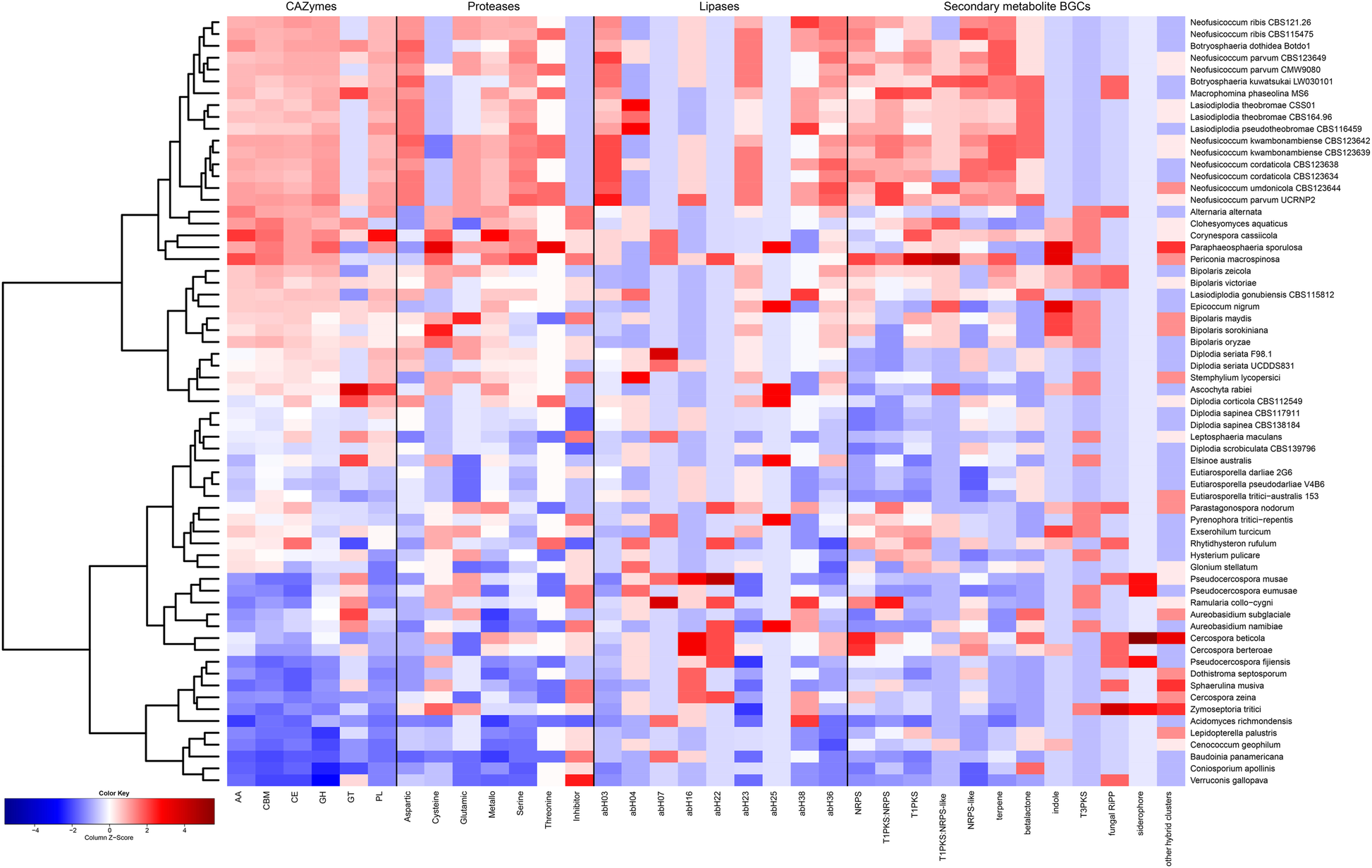 Fig. 3