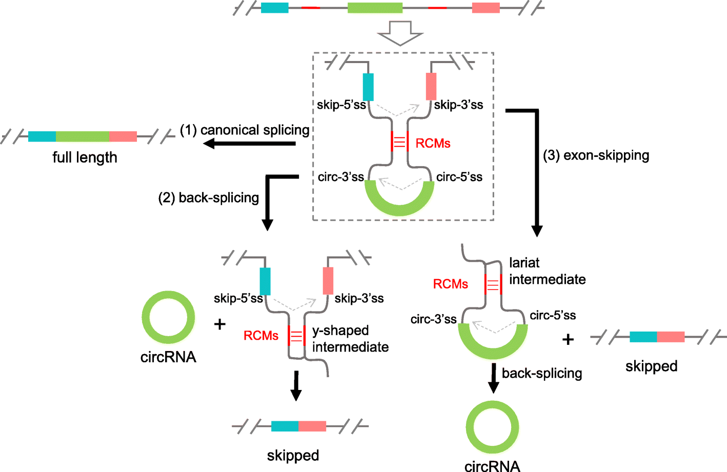 Fig. 7