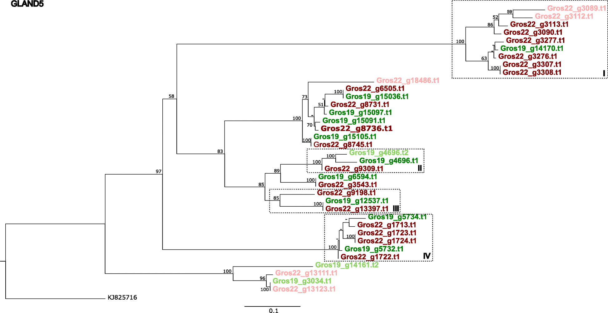 Fig. 5