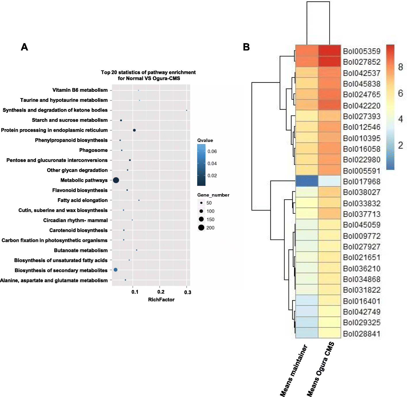 Fig. 9