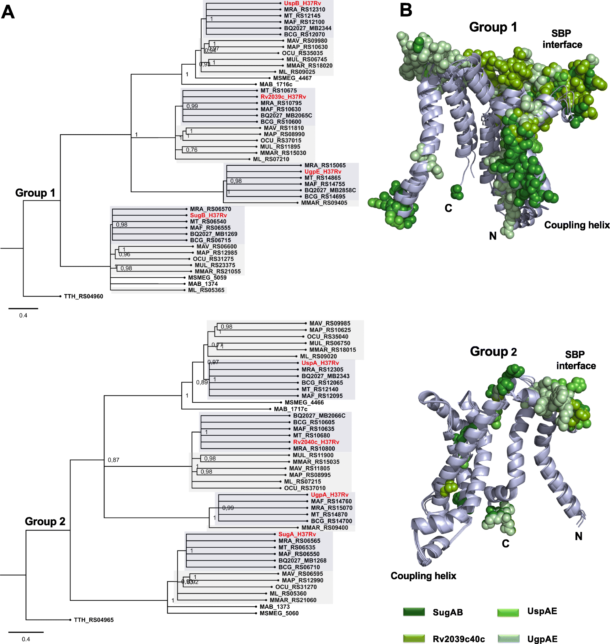 Fig. 3