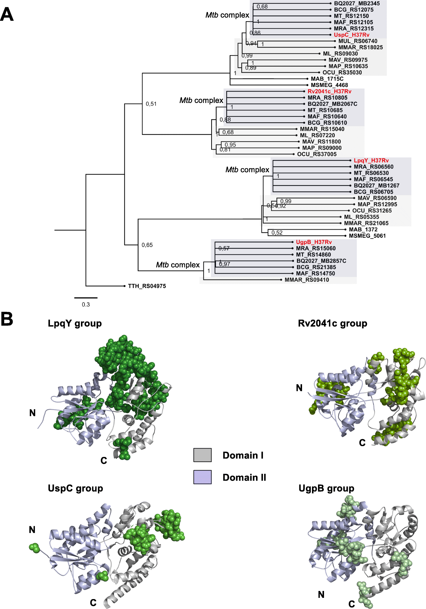 Fig. 4