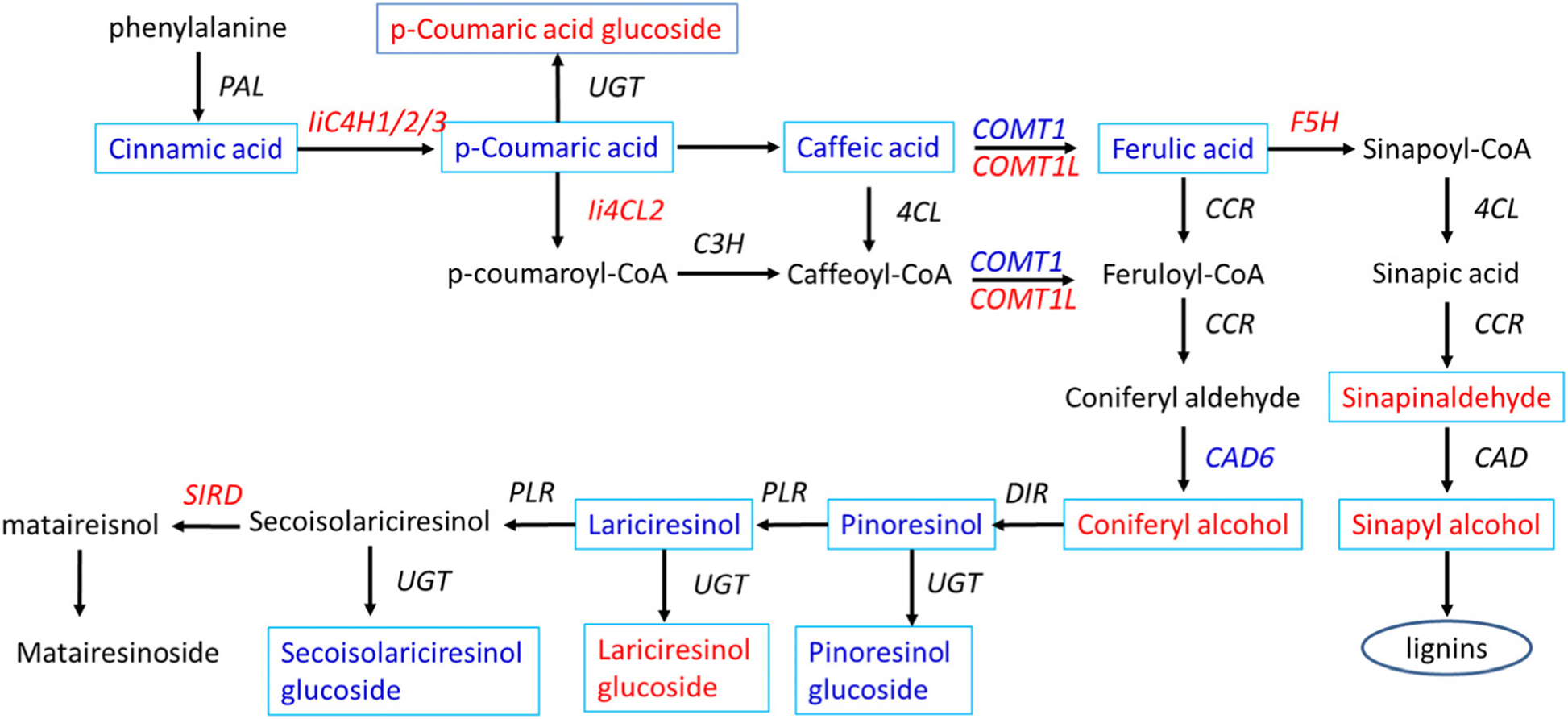 Fig. 6