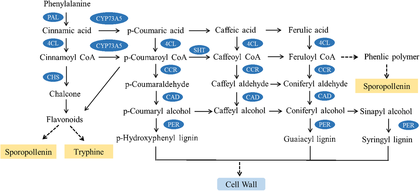 Fig. 9