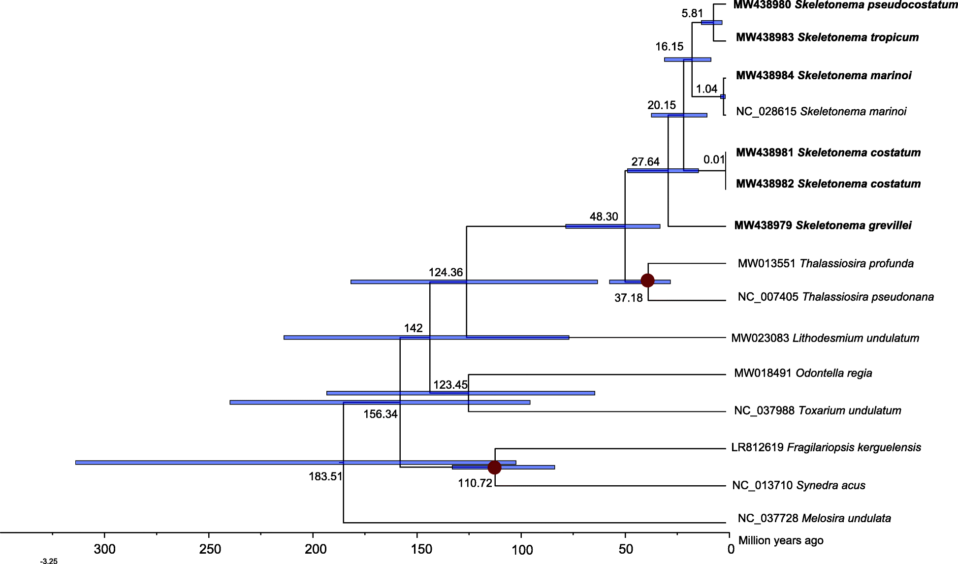 Fig. 6