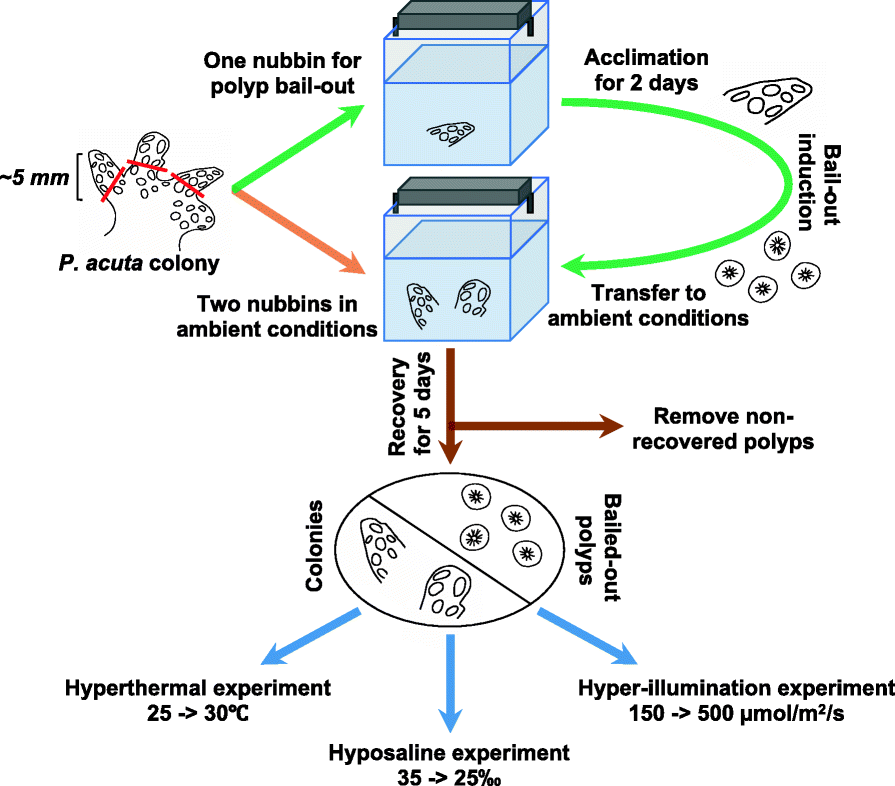 Fig. 9