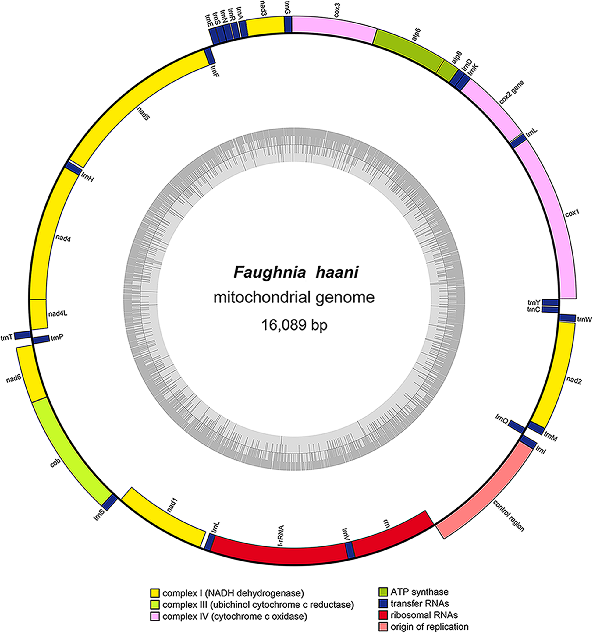 Fig. 2