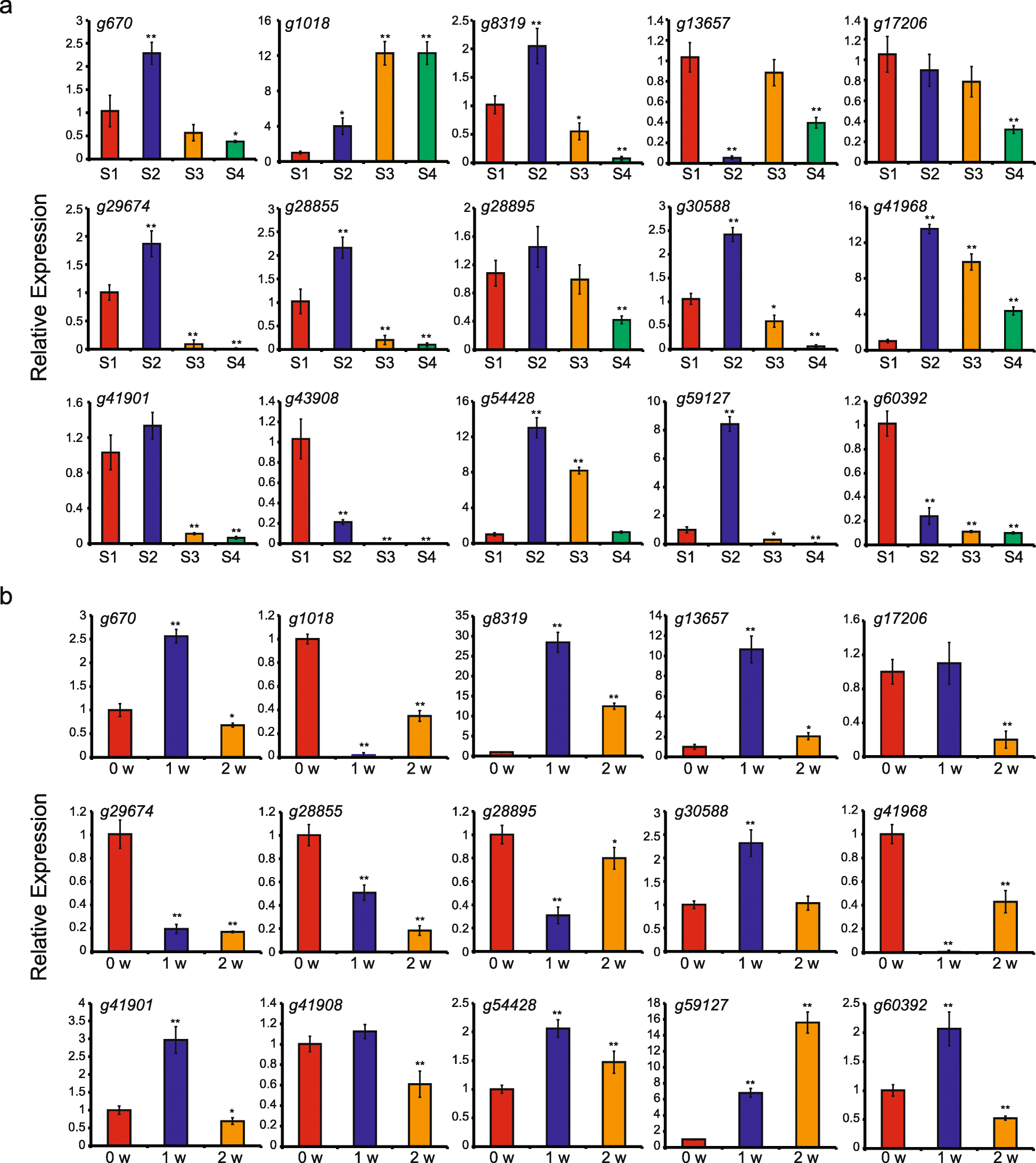 Genome-wide identification, phylogeny and expression analysis of AP2/ERF  transcription factors family in sweet potato | BMC Genomics | Full Text
