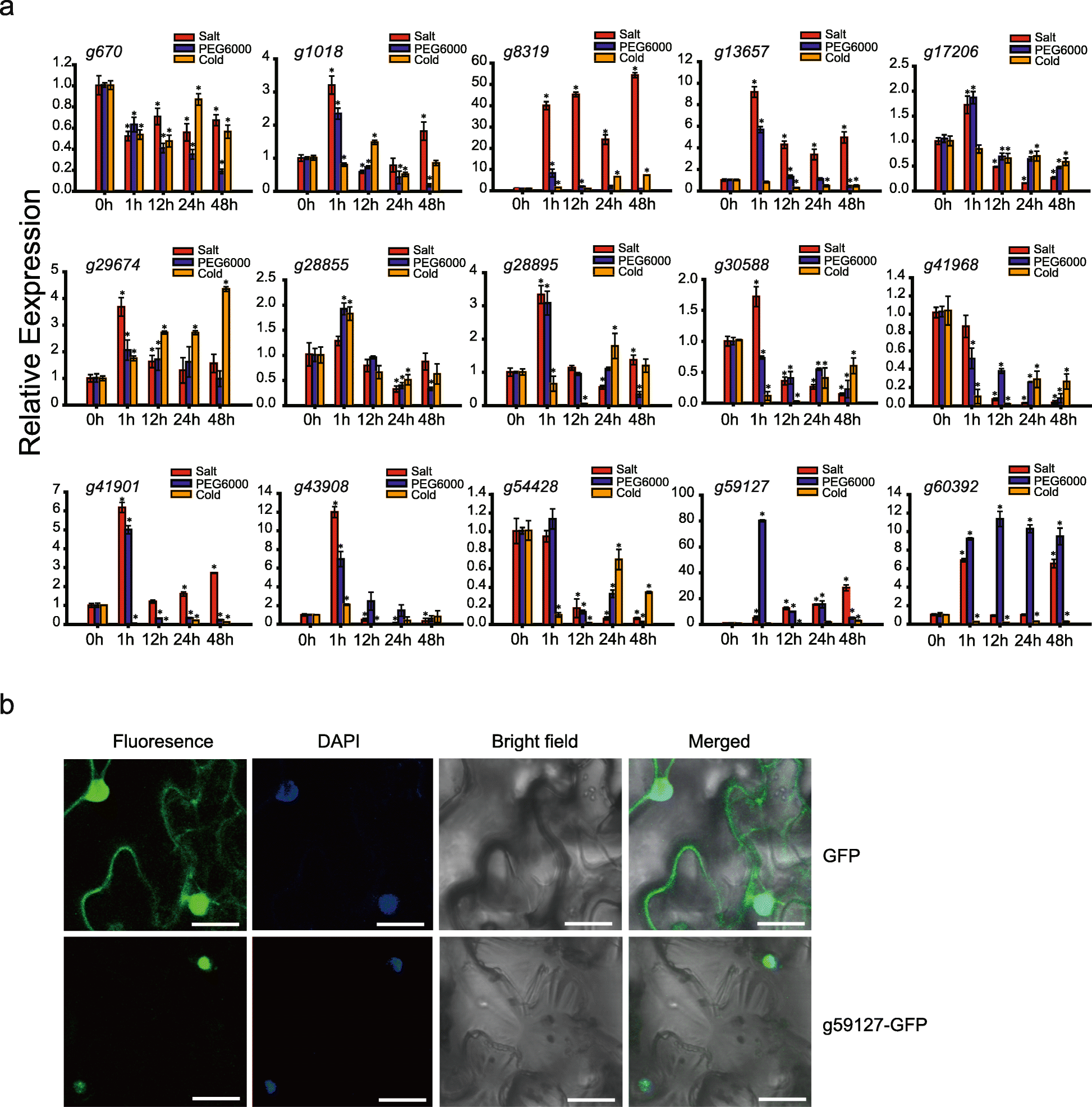 Fig. 9