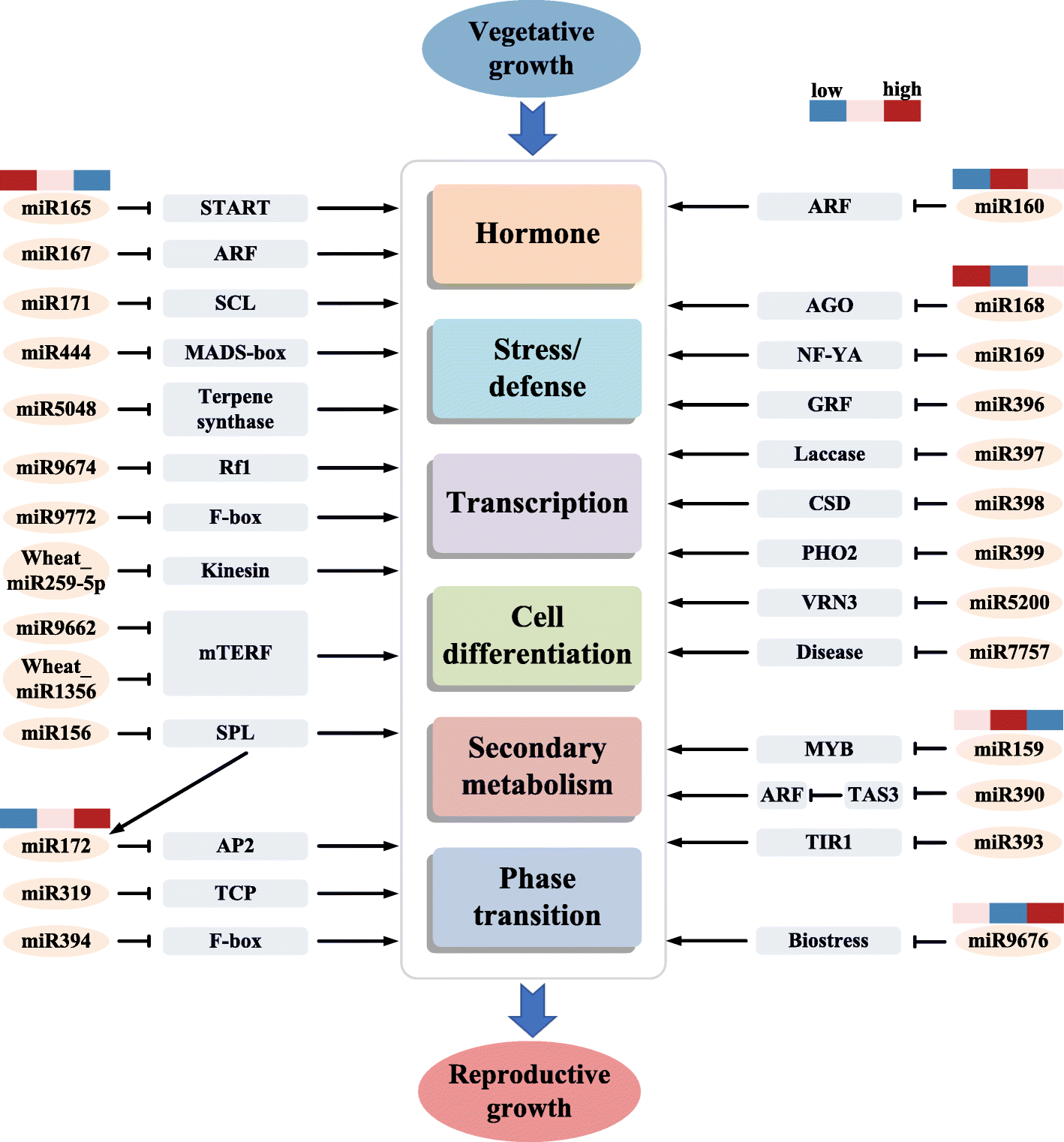 Fig. 8