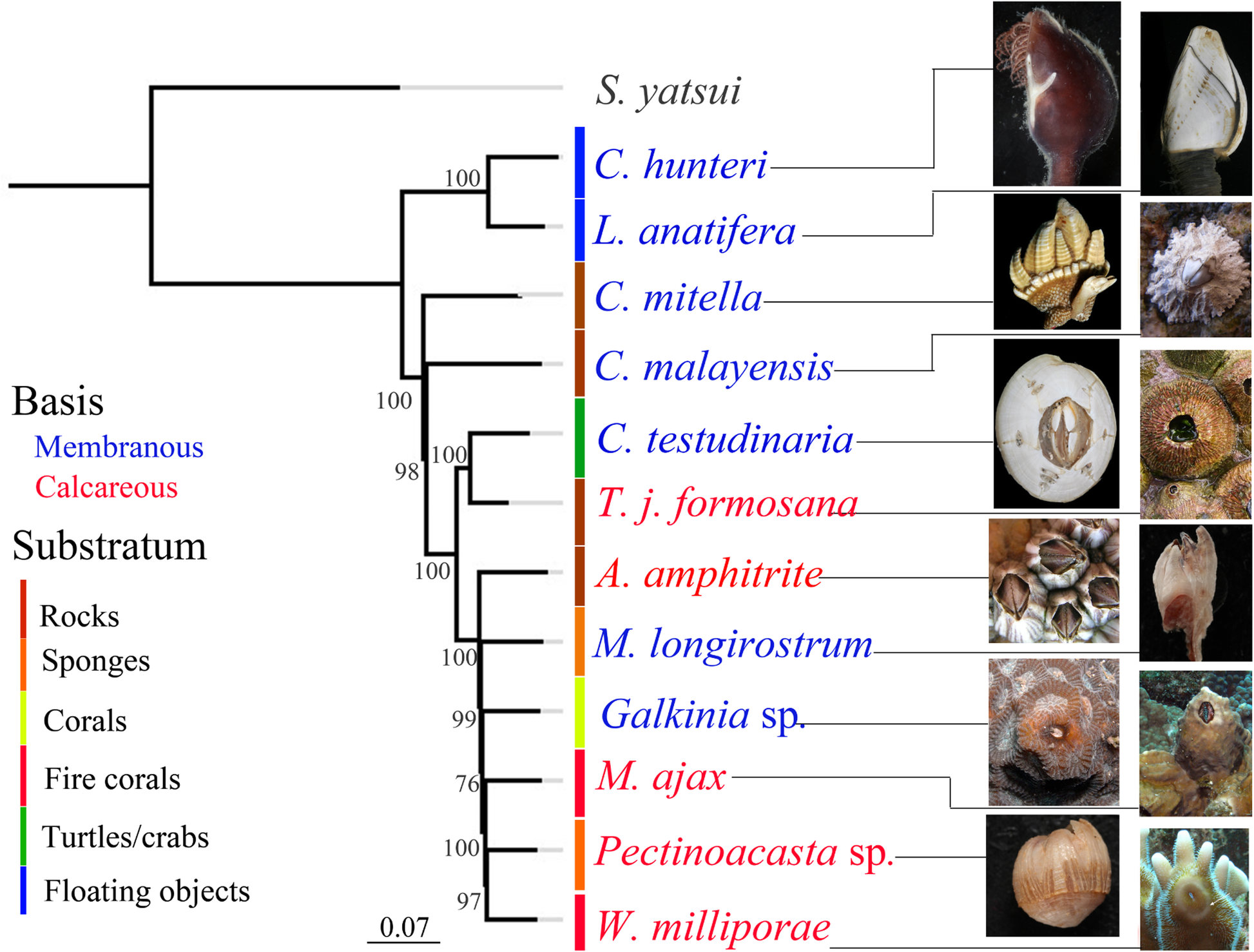 Fig. 3