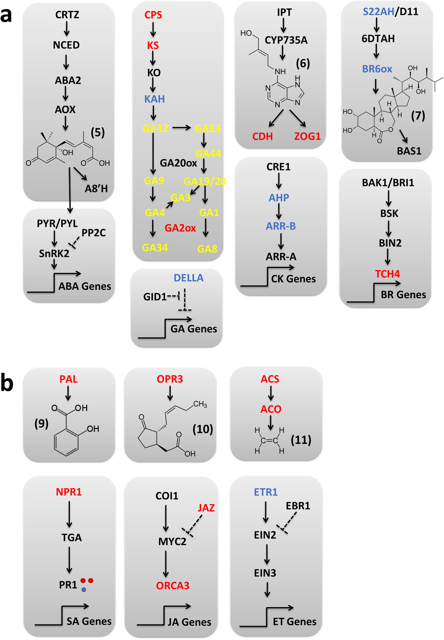 Fig. 7