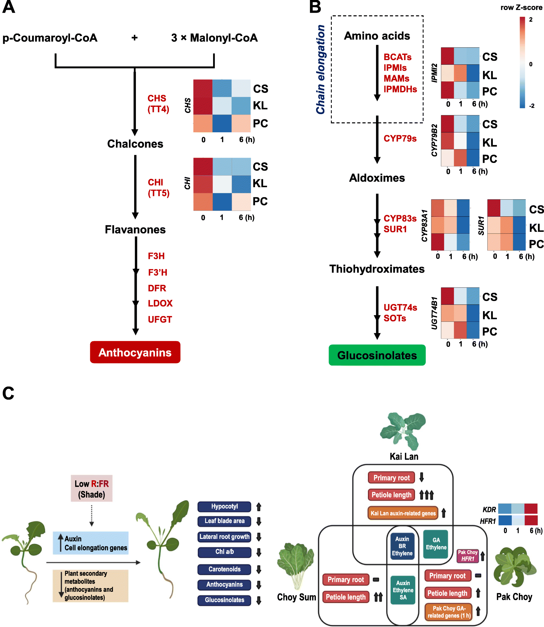 Fig. 7