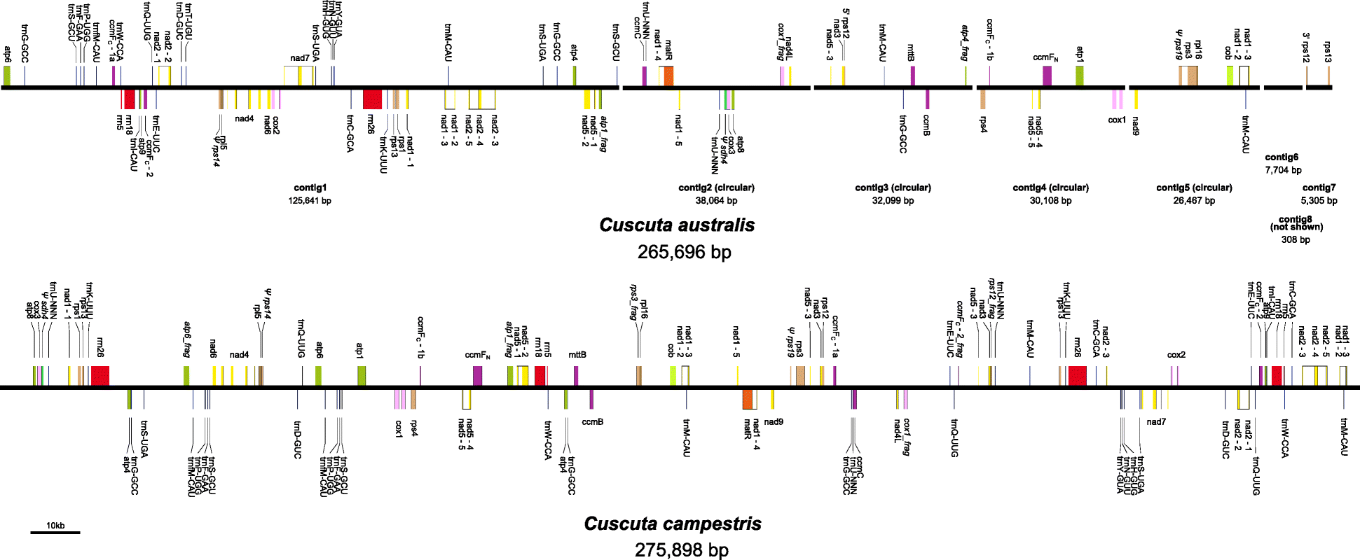 Fig. 1