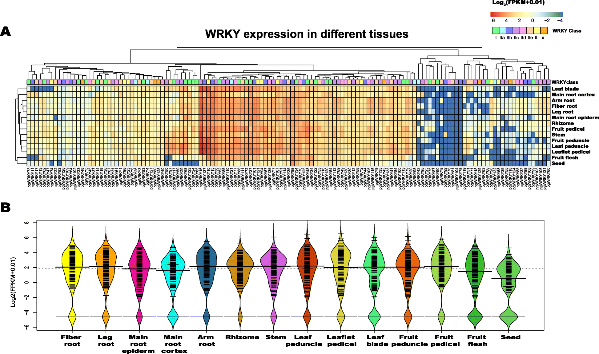 Fig. 5