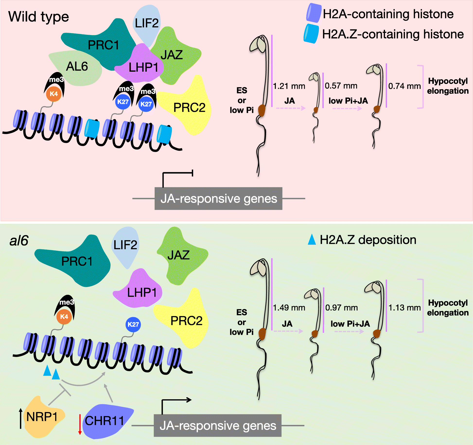 Fig. 8