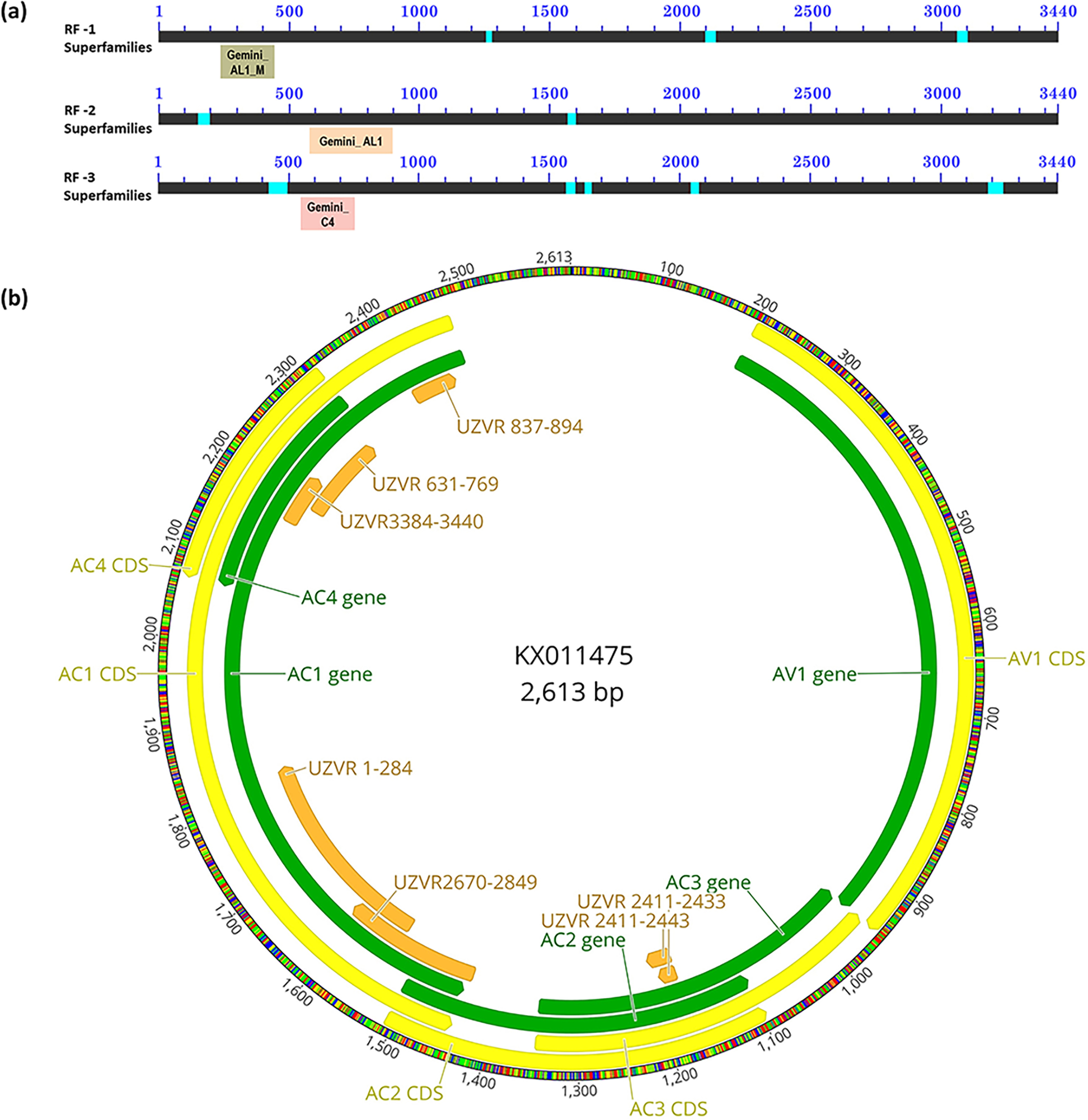 Fig. 3