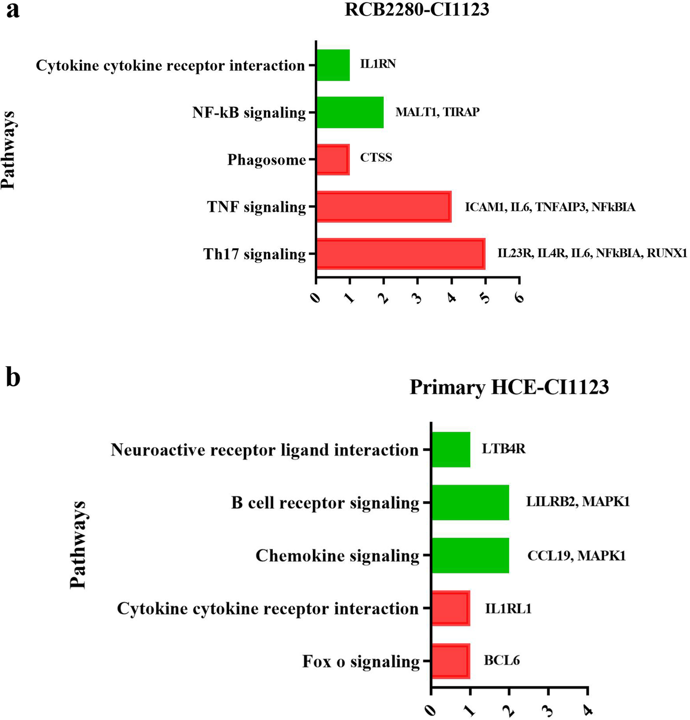 Fig. 12