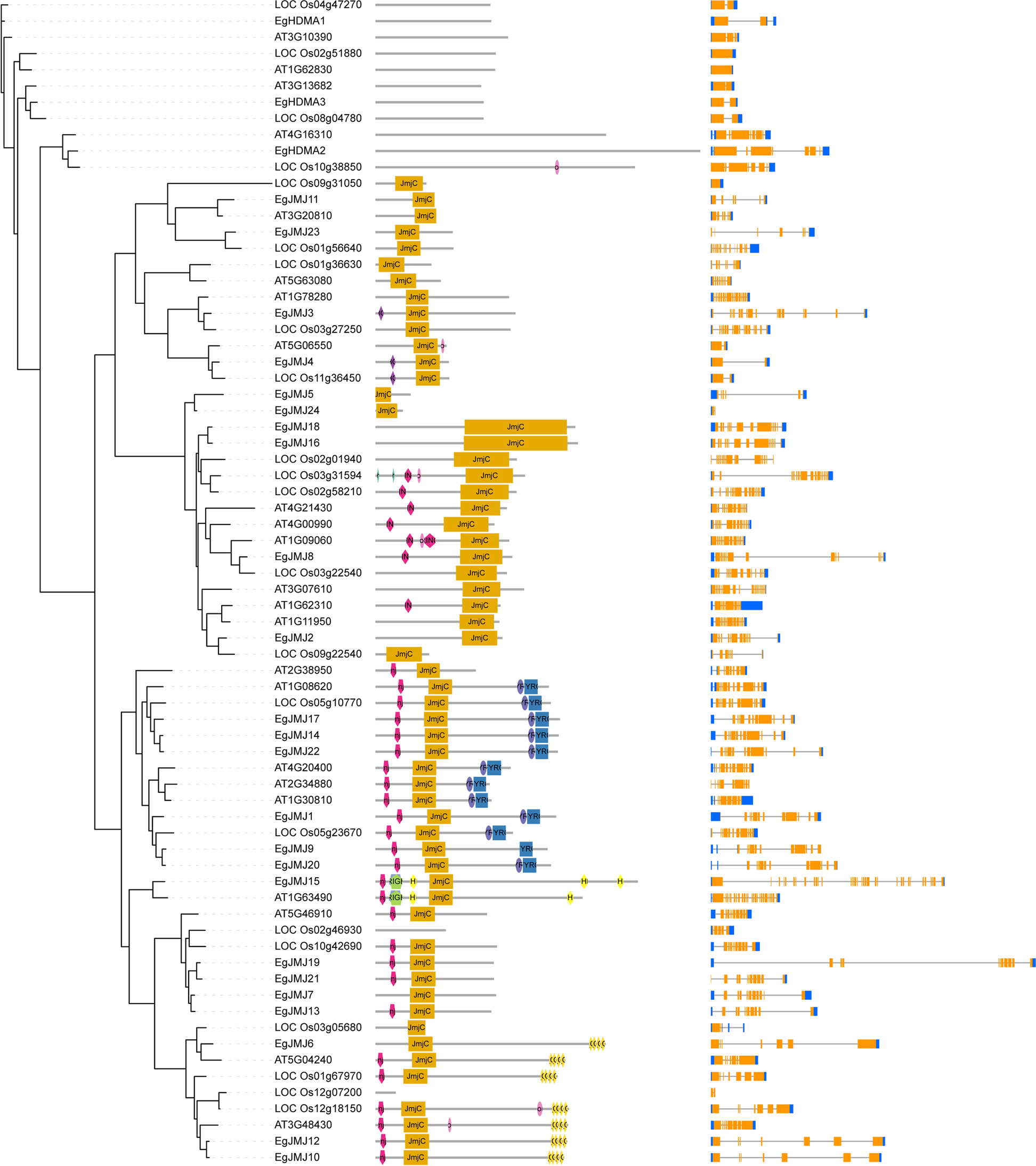 Fig. 7