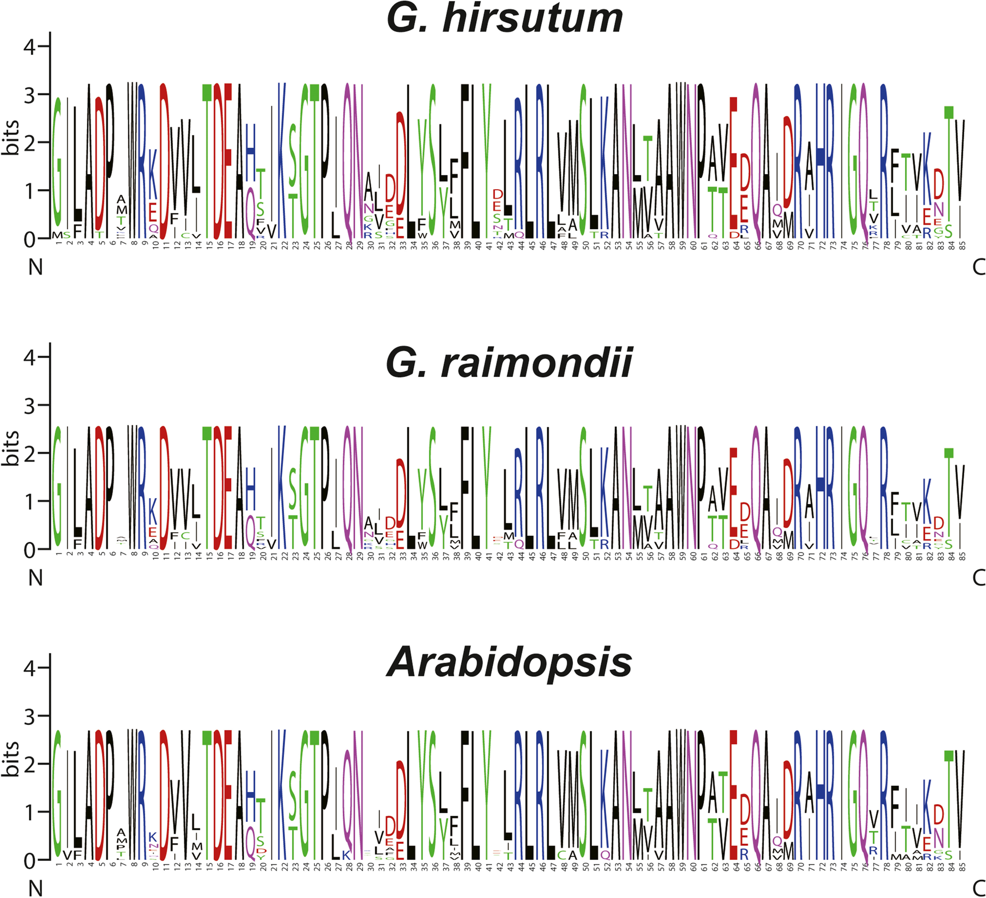 Fig. 3