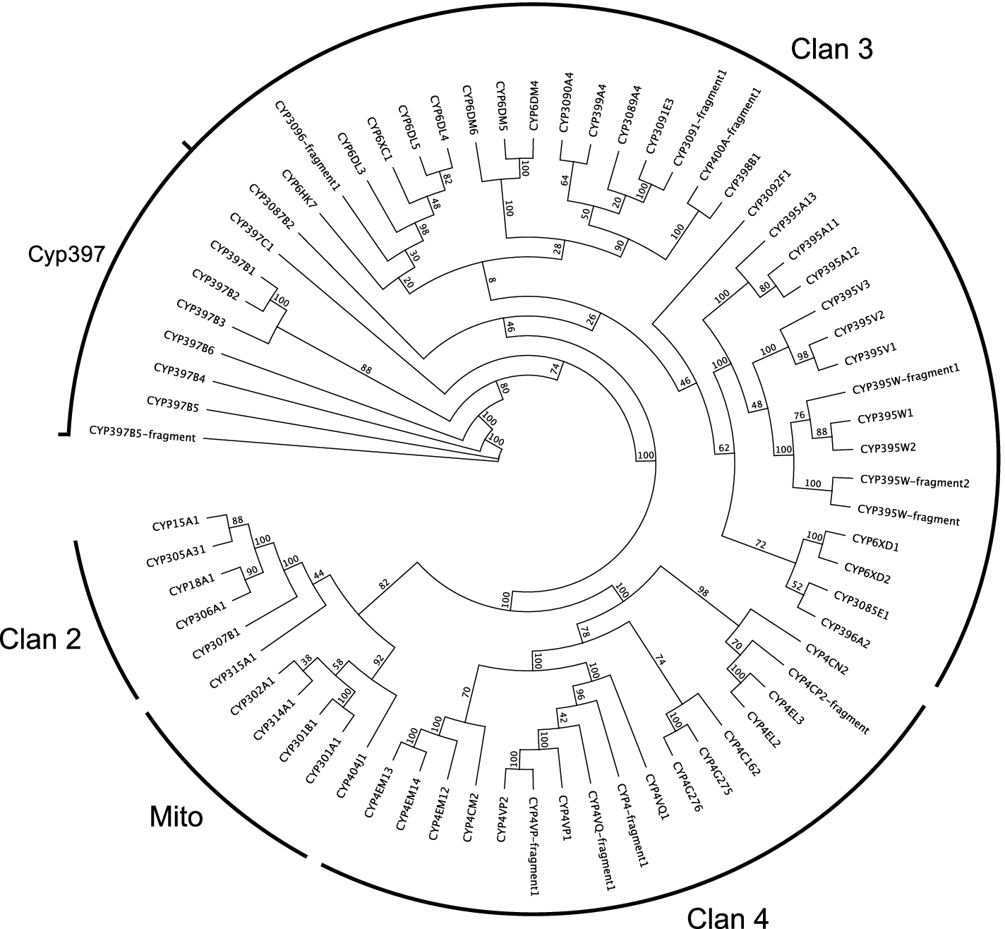 Fig. 6