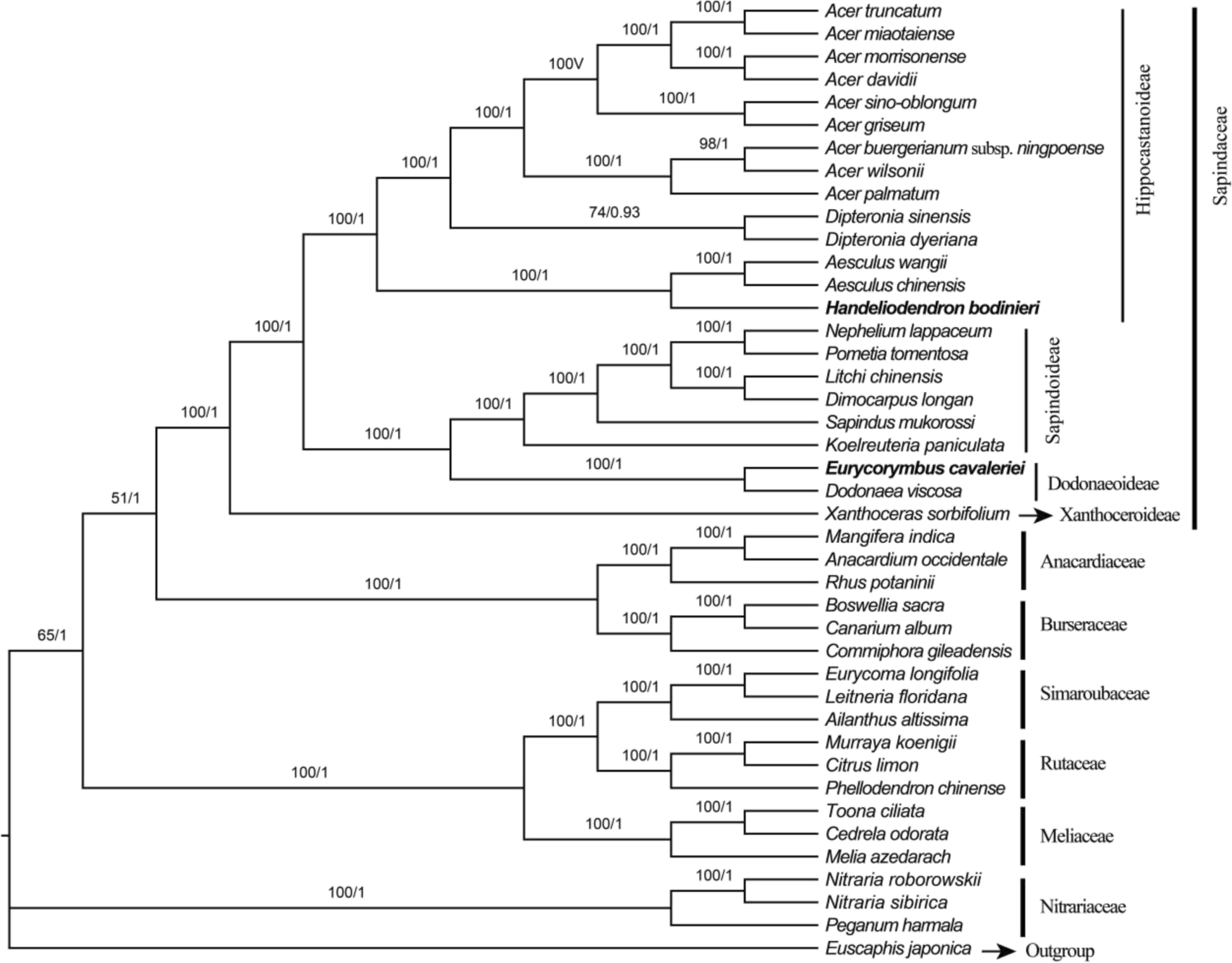 Fig. 9