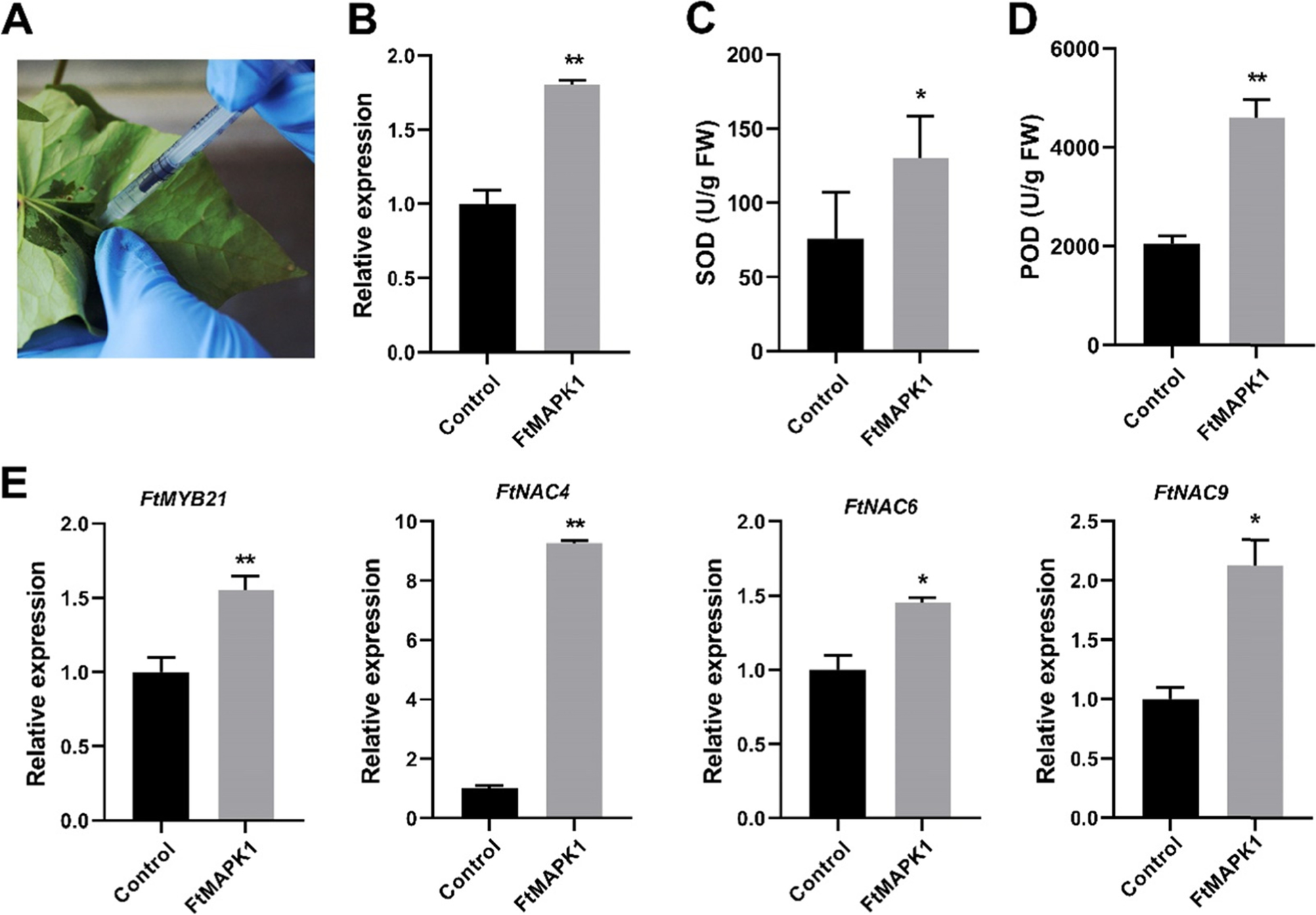 Fig. 13