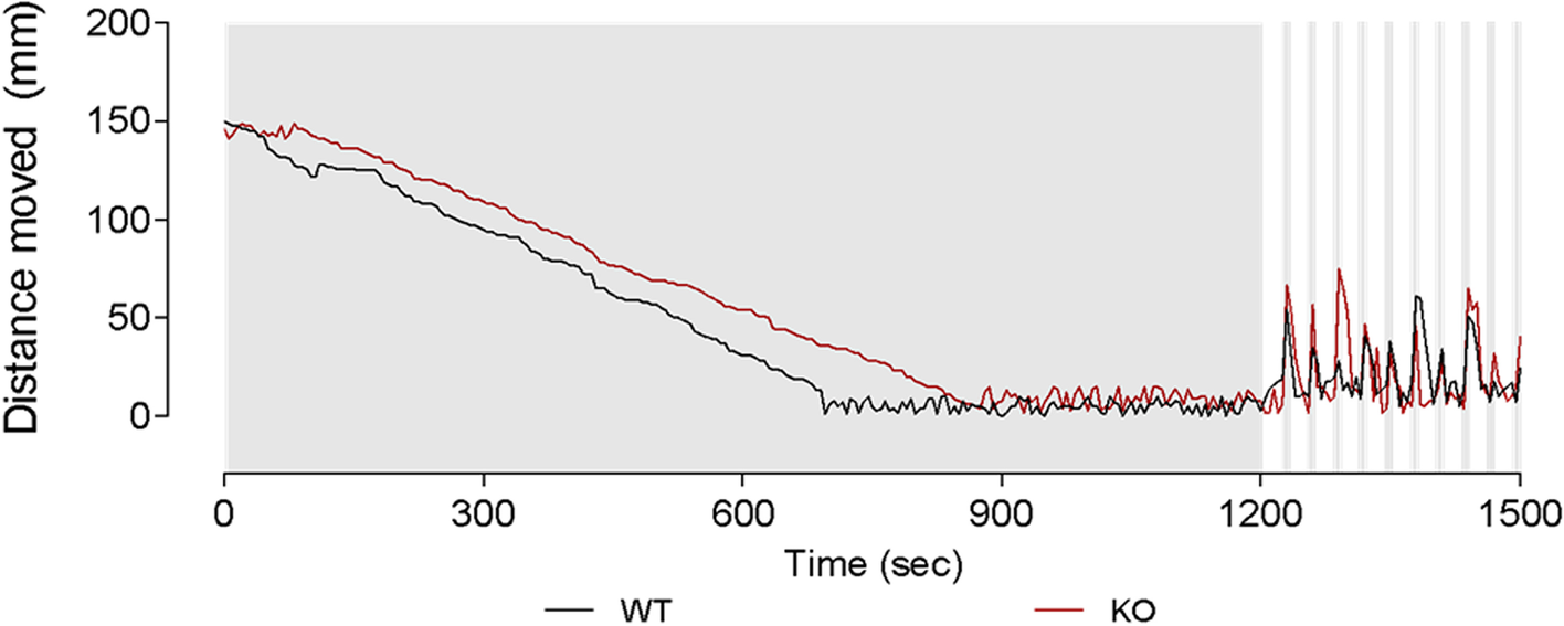 Fig. 8