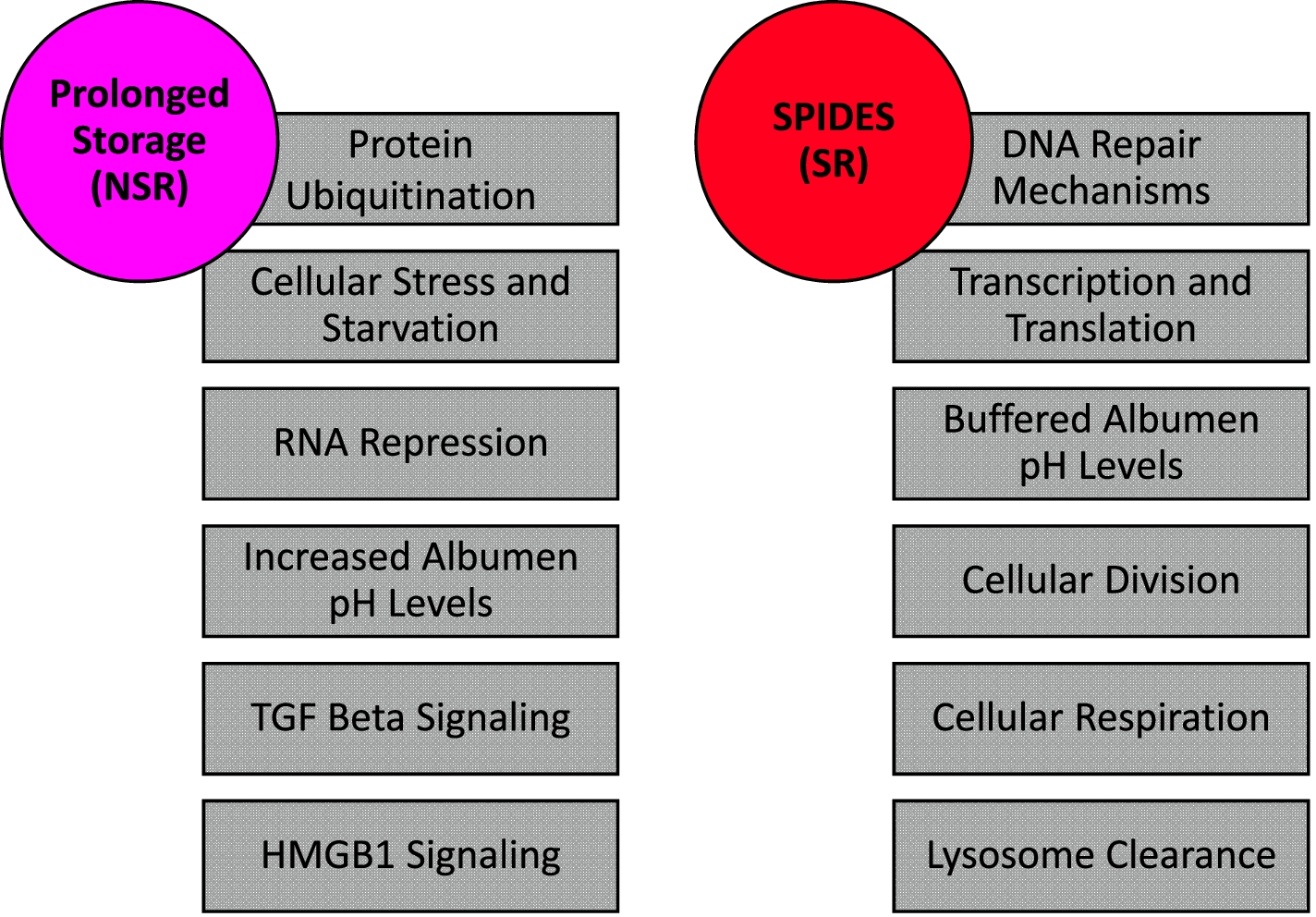 Fig. 11