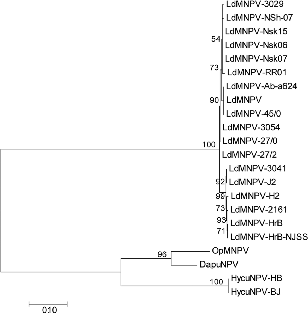 Fig. 6