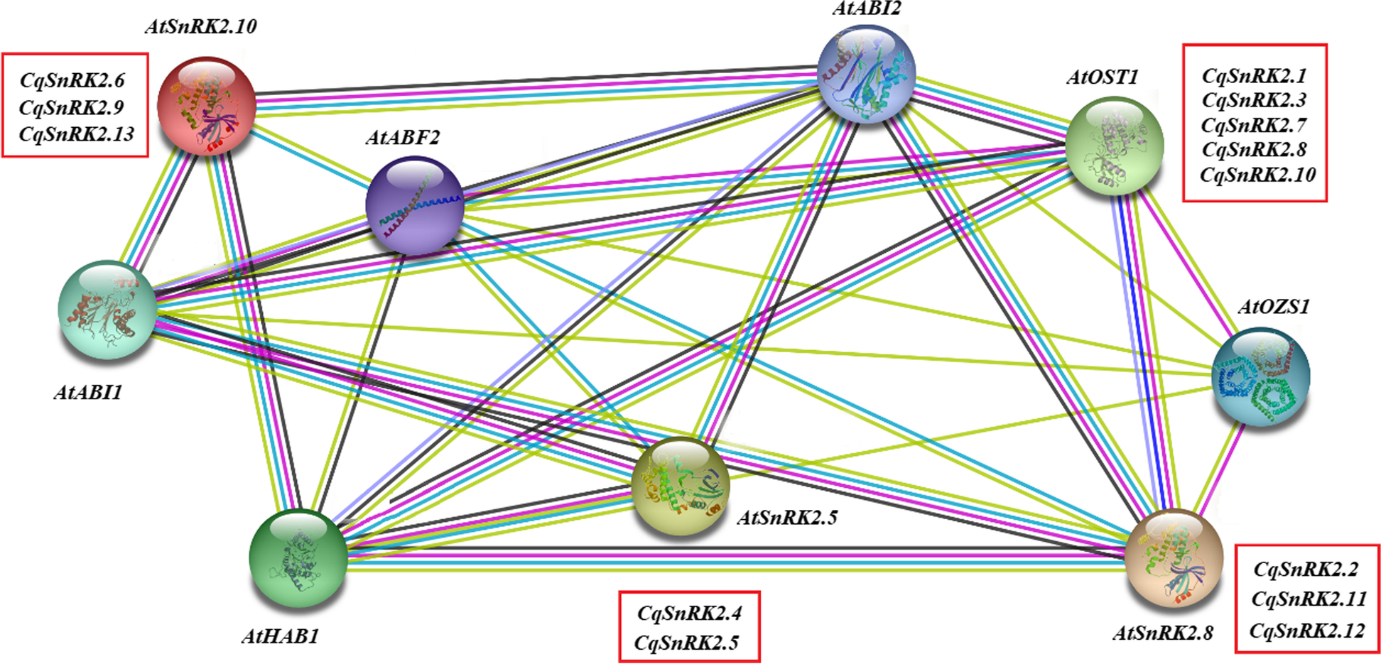 Fig. 3