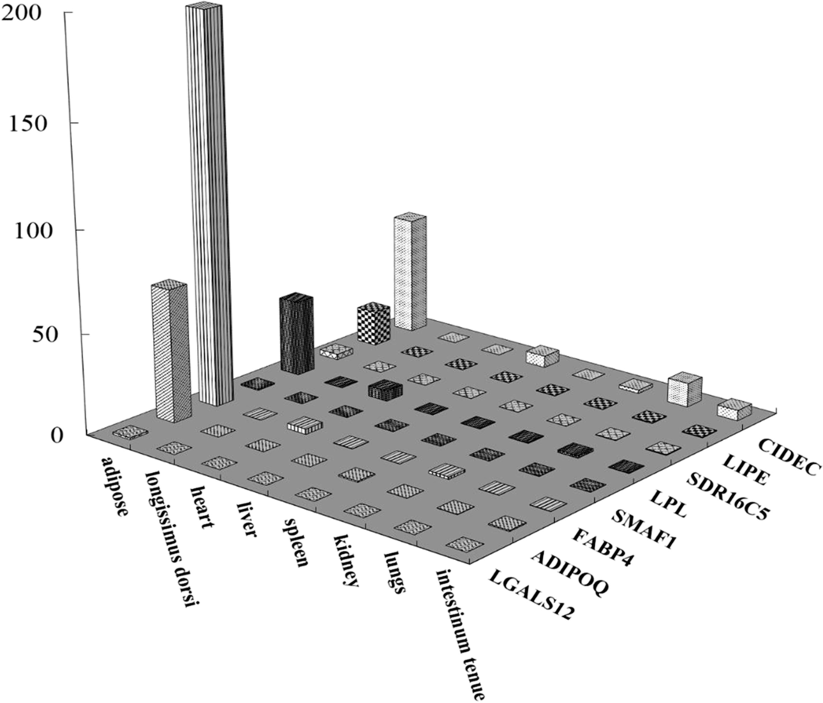 Fig. 2