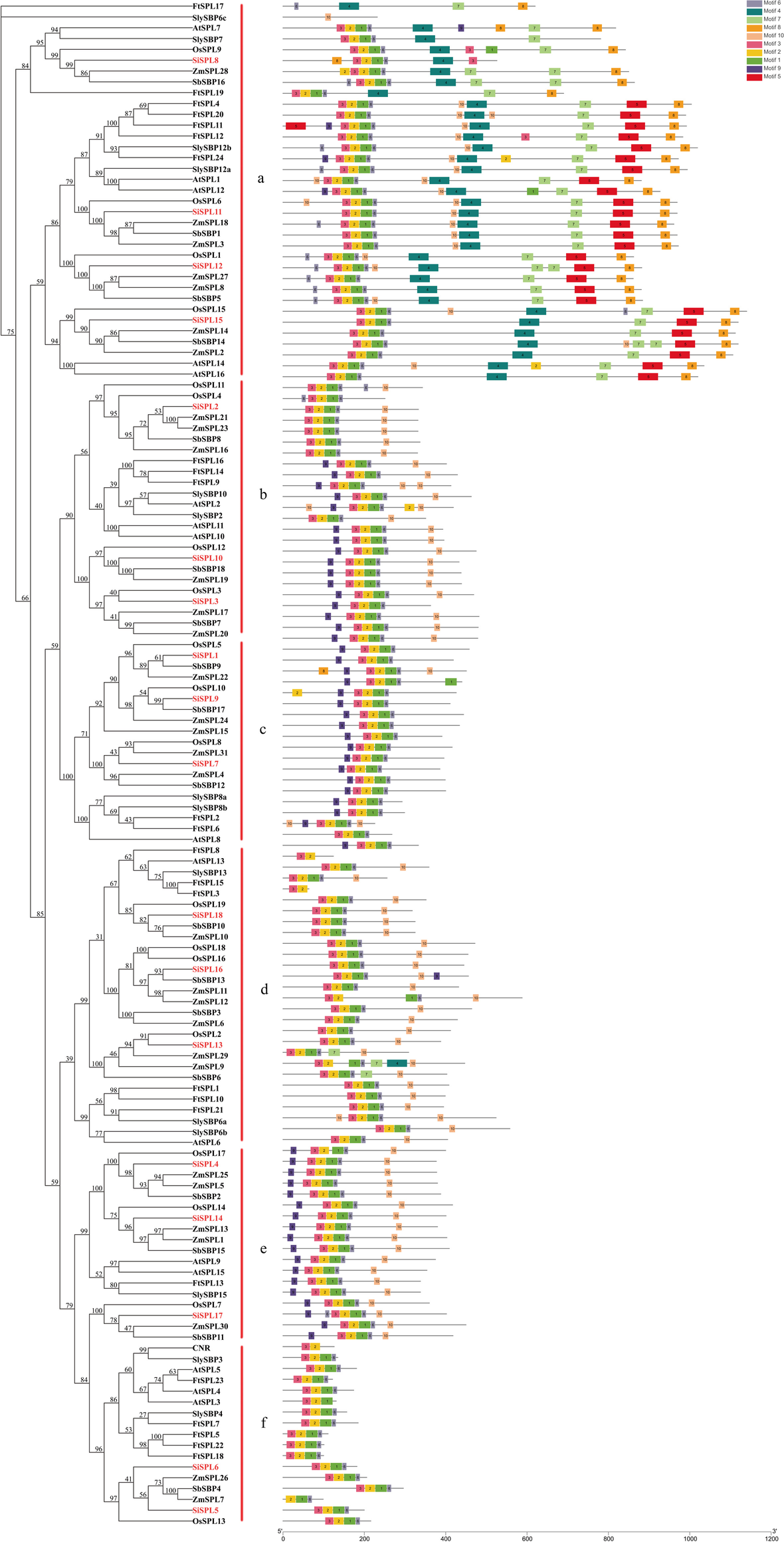 Fig. 7