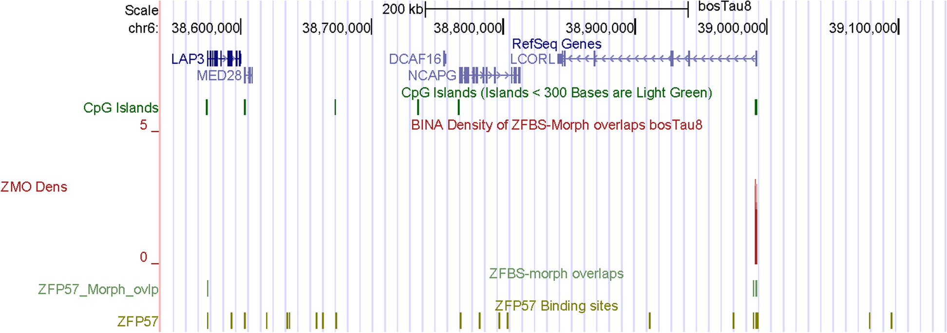 Fig. 16