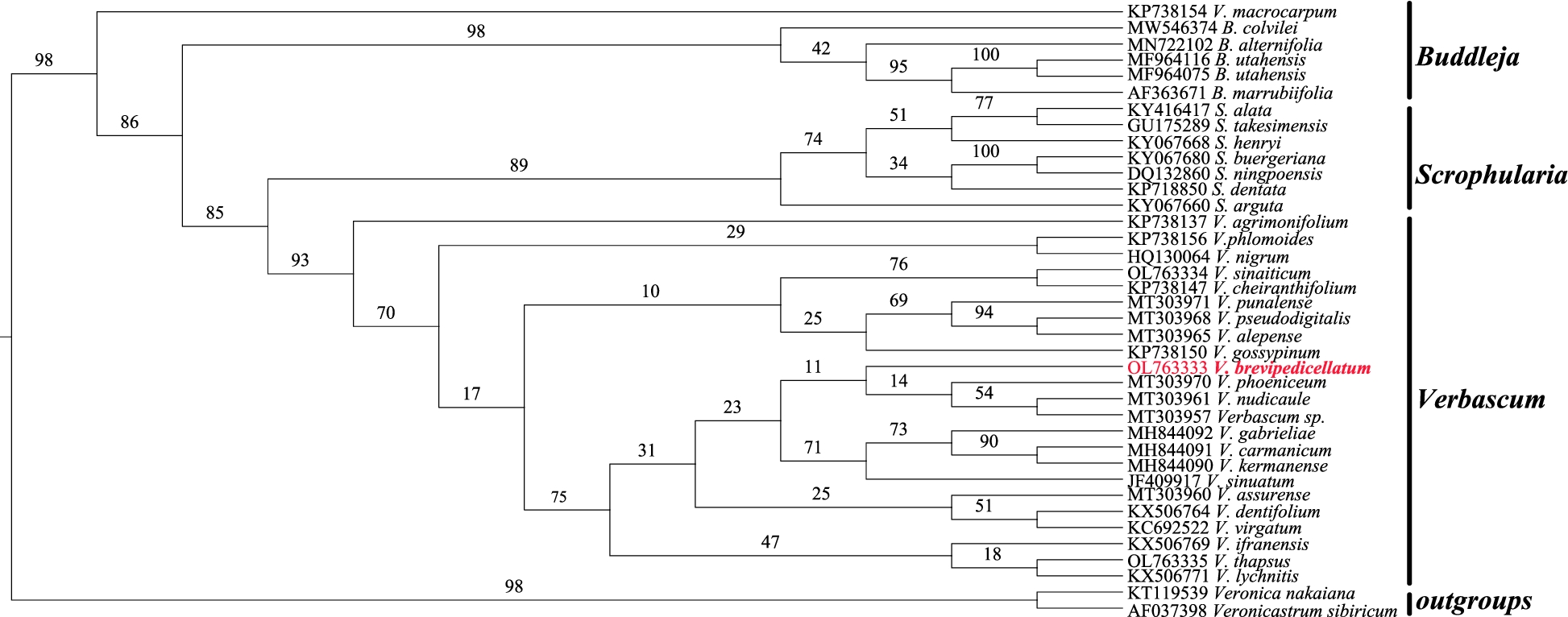 Fig. 7