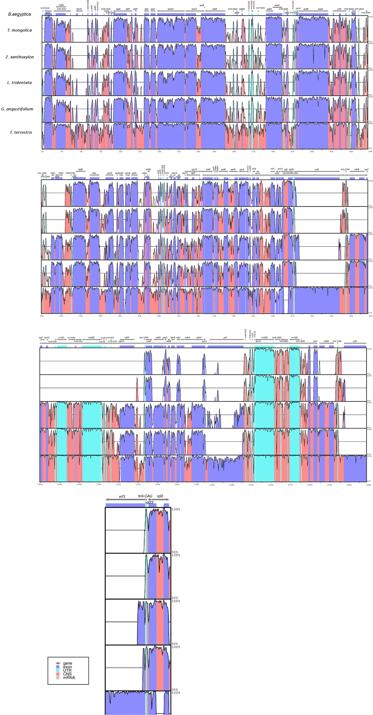 Fig. 7