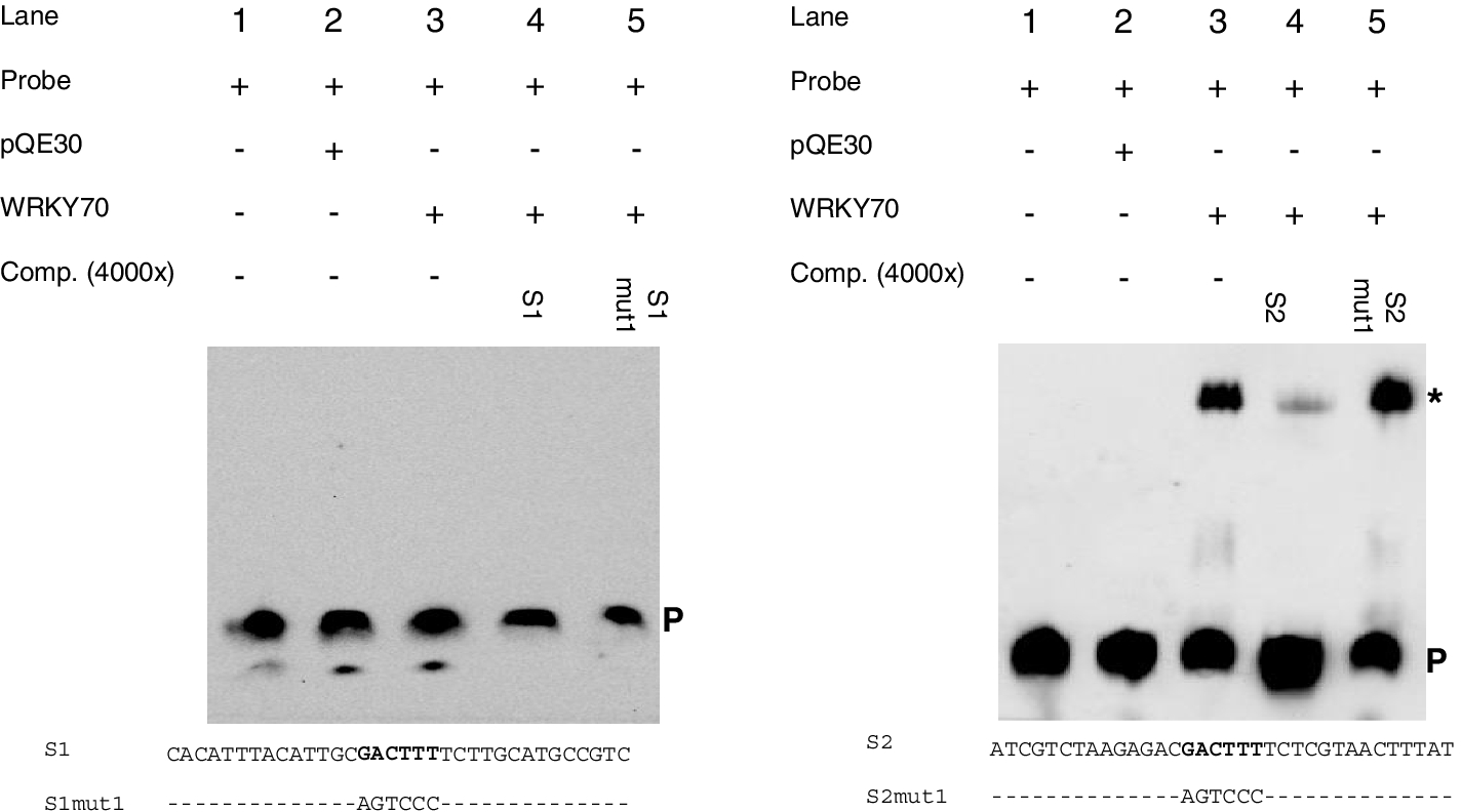 Fig. 11