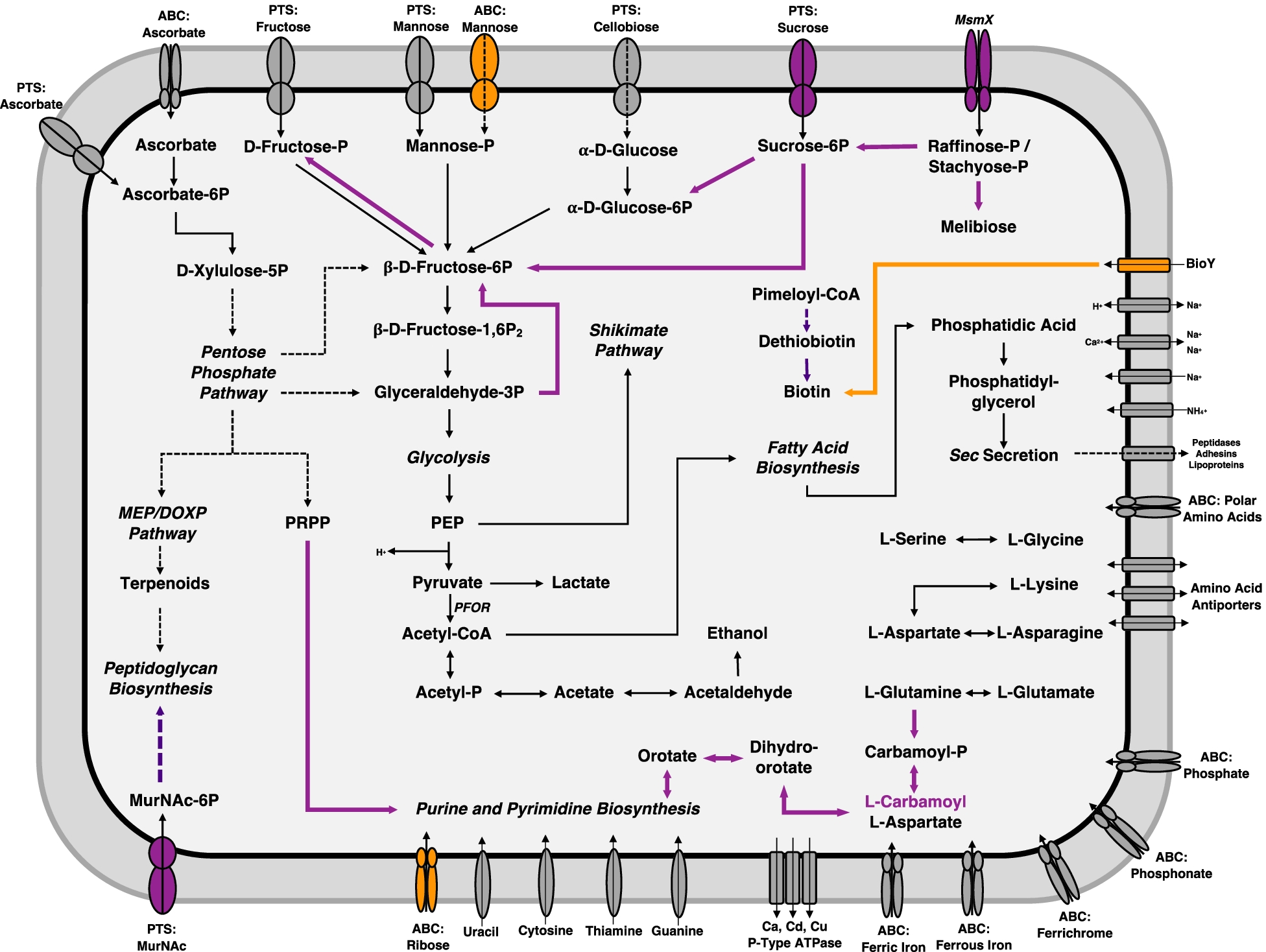 Fig. 4