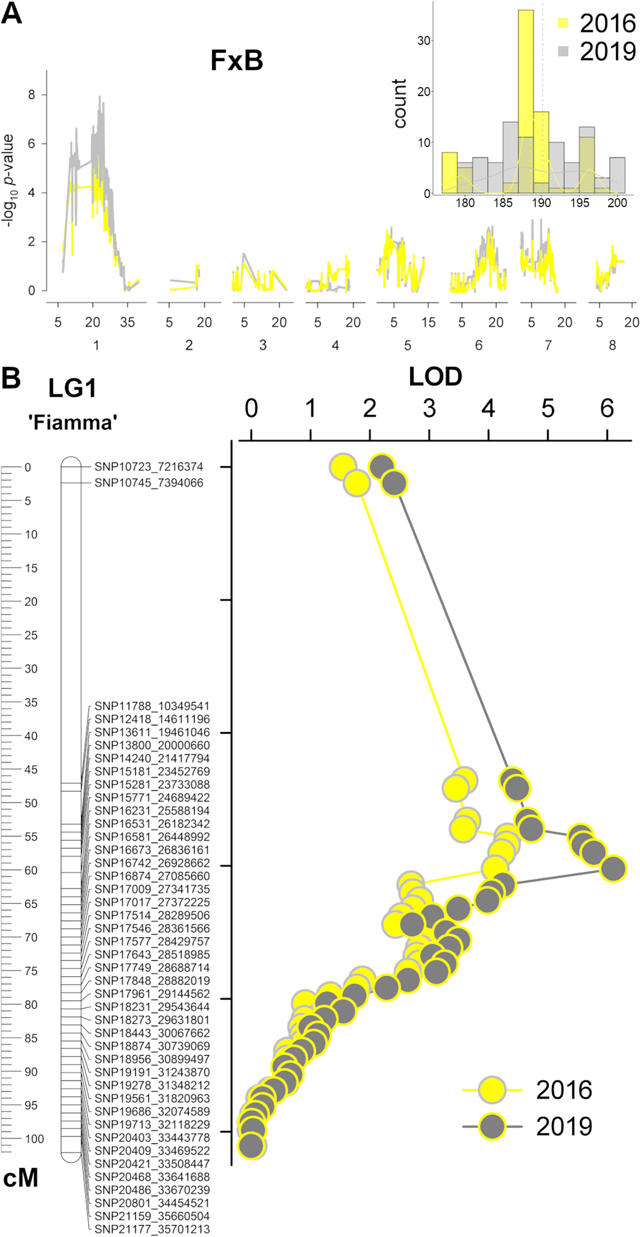 Fig. 6