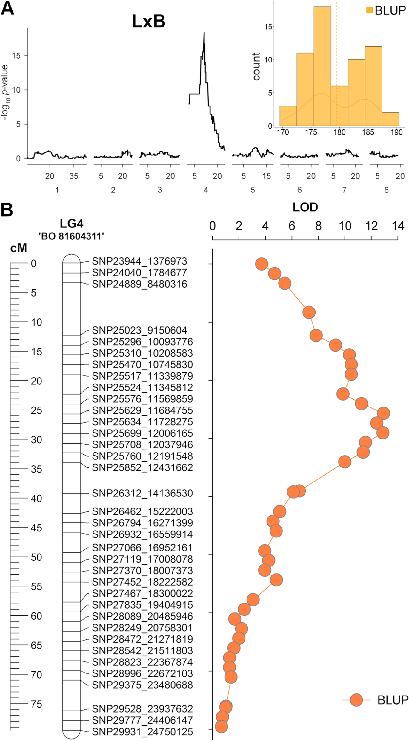 Fig. 7