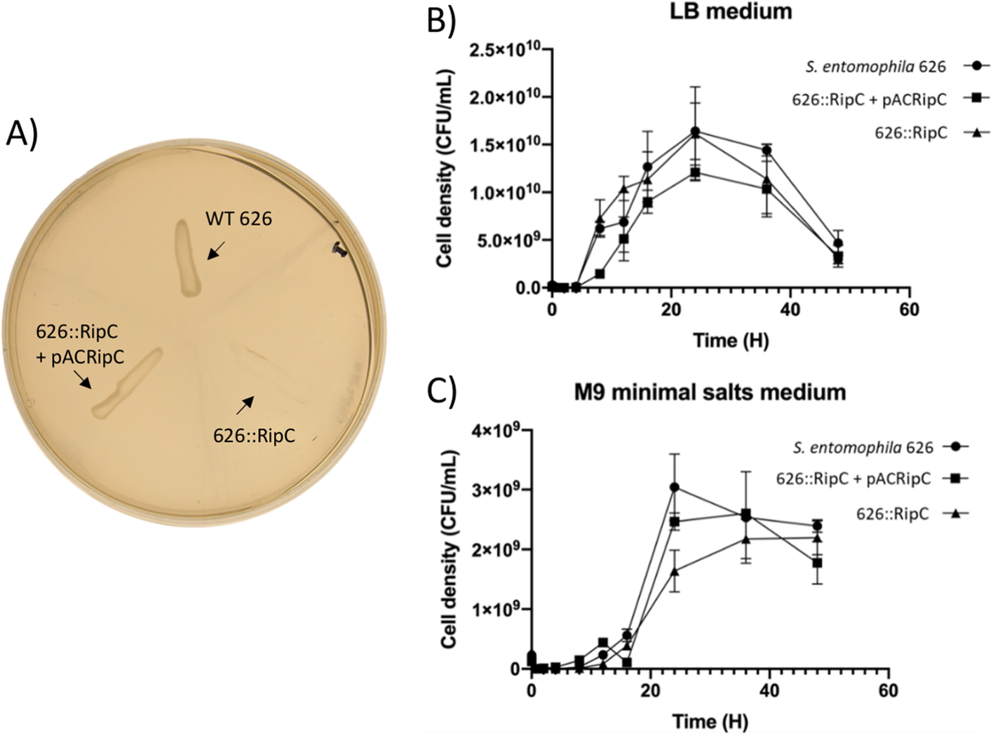 Fig. 11