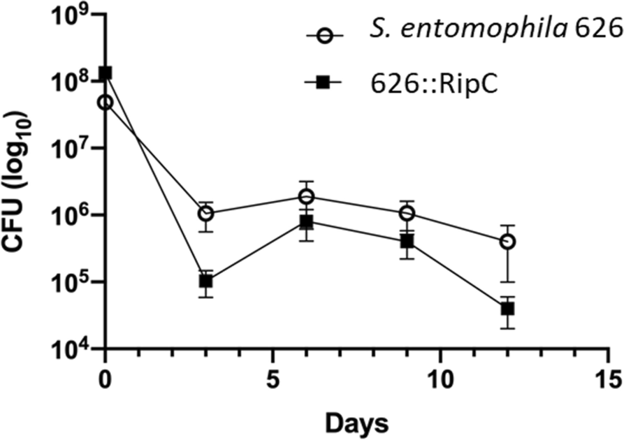 Fig. 12