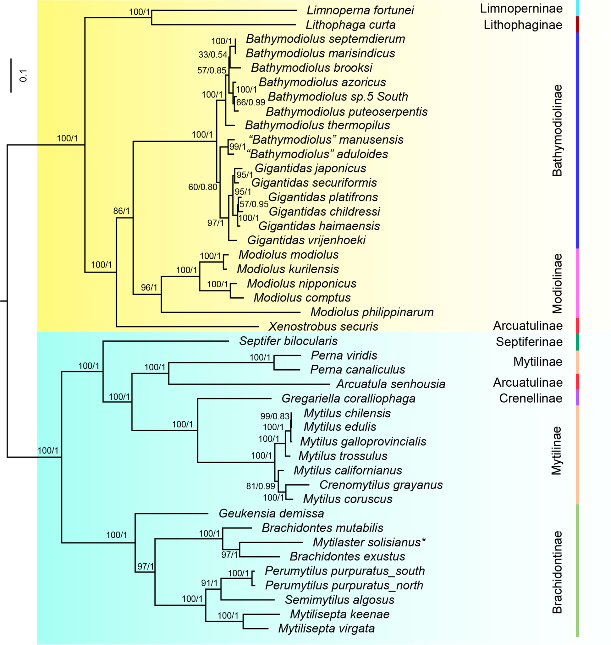 Fig. 4