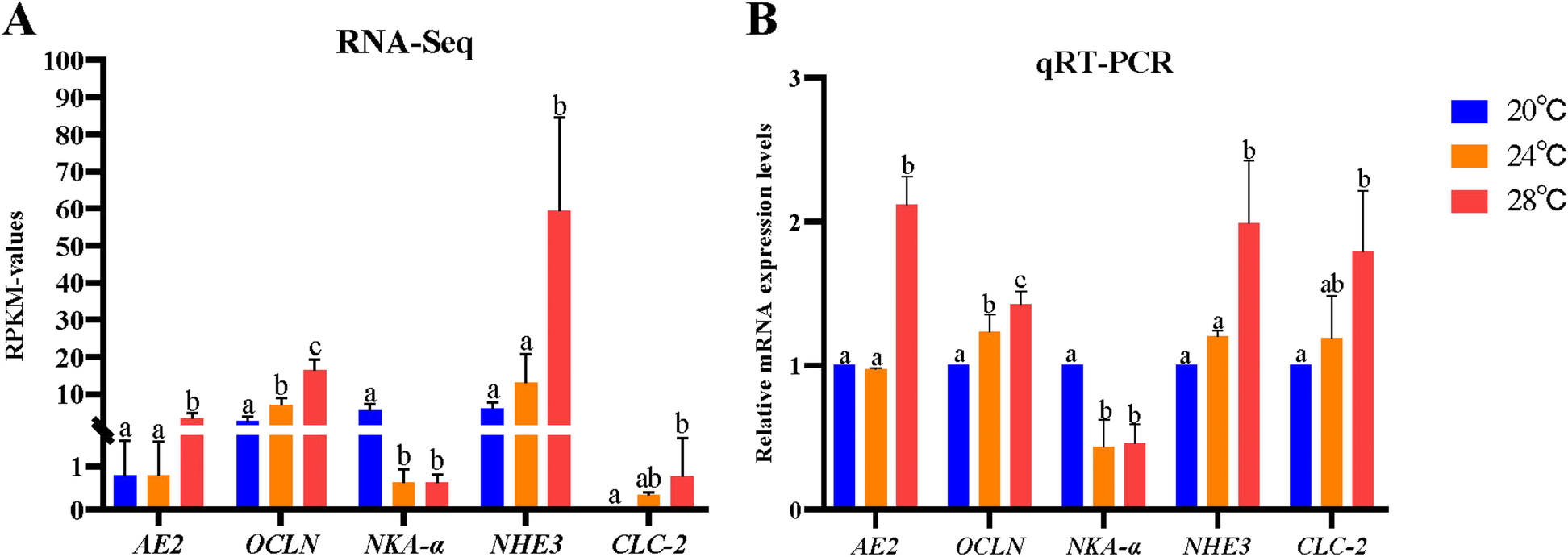 Fig. 8