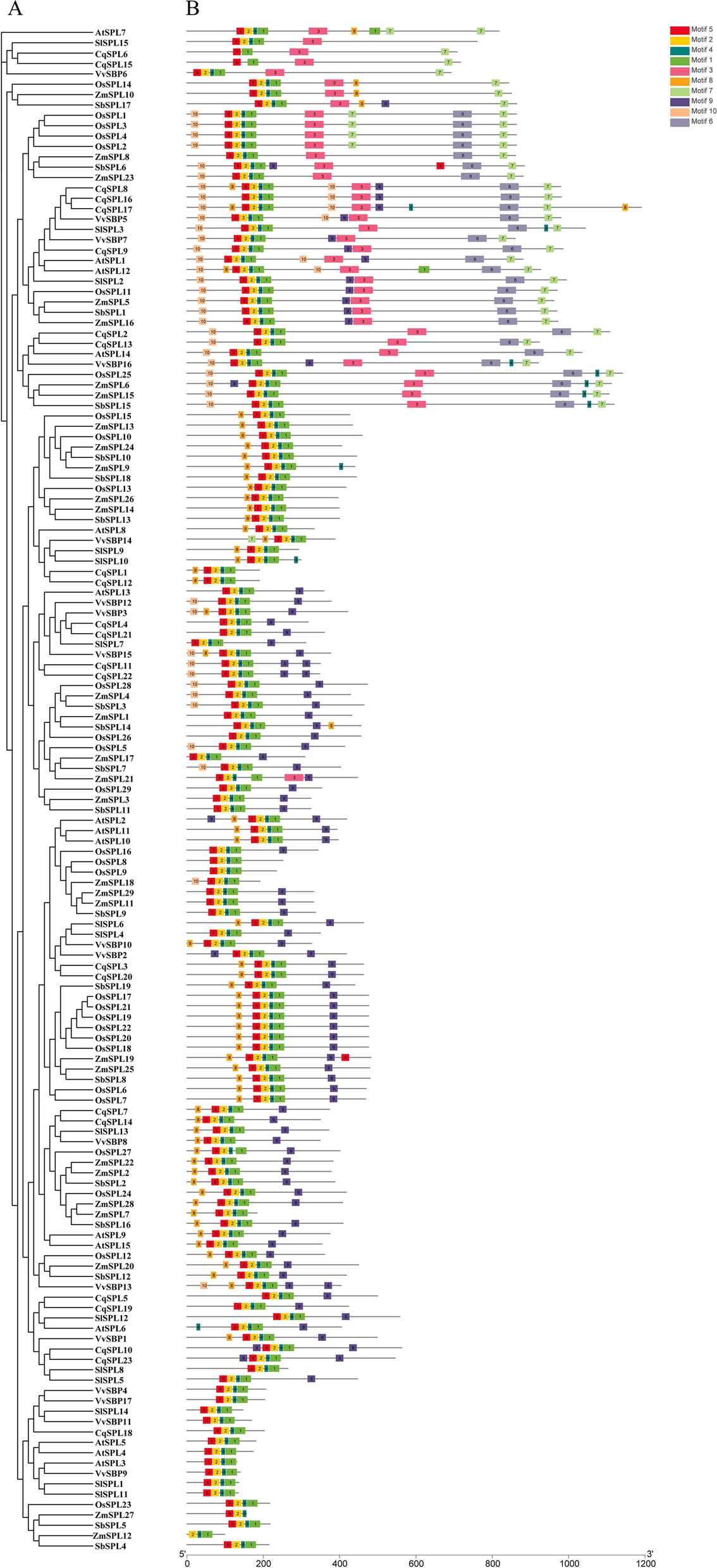 Fig. 6